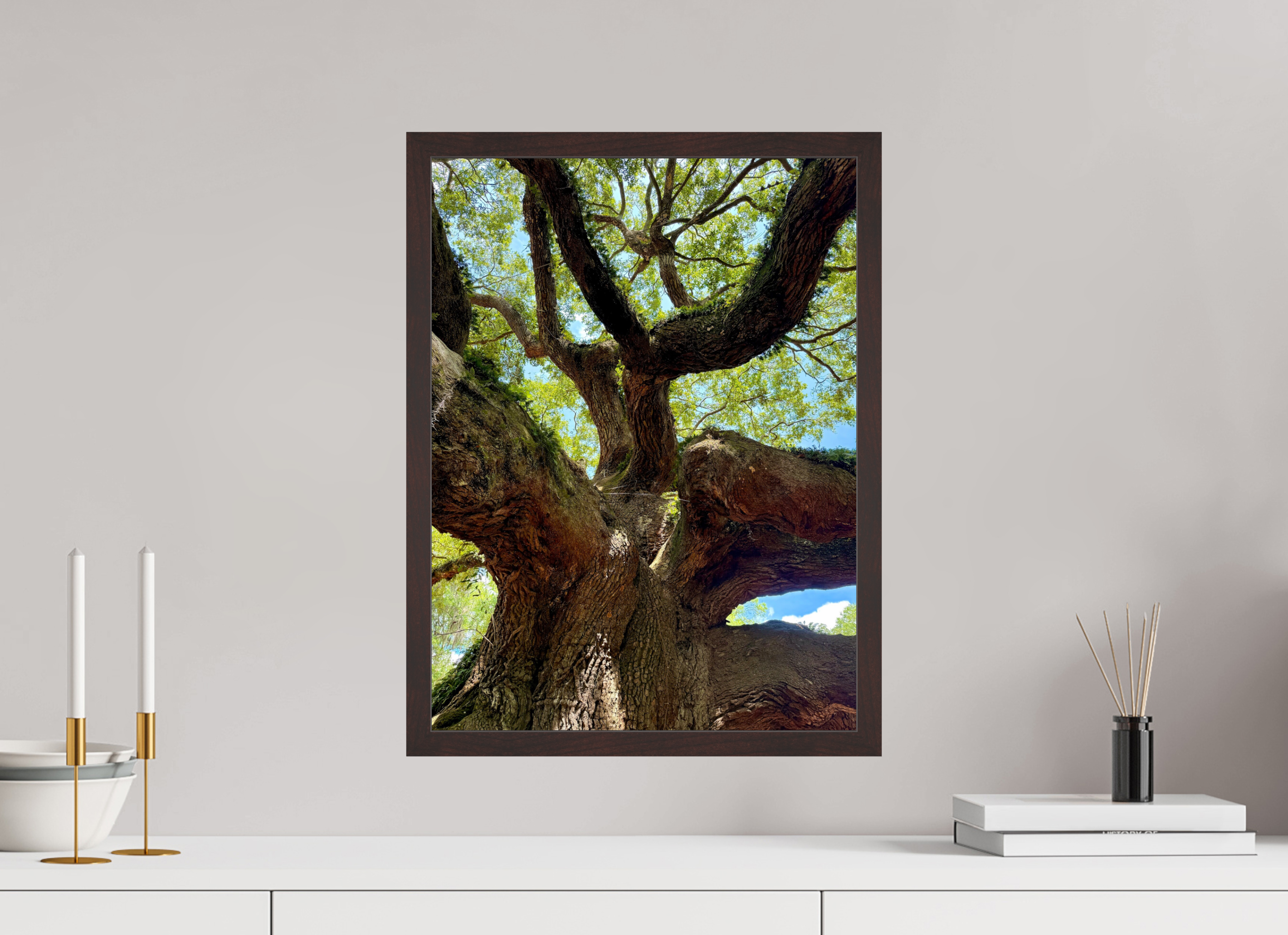 15 x 20″, ArtBox On Aluminum Dibond Angel Oak