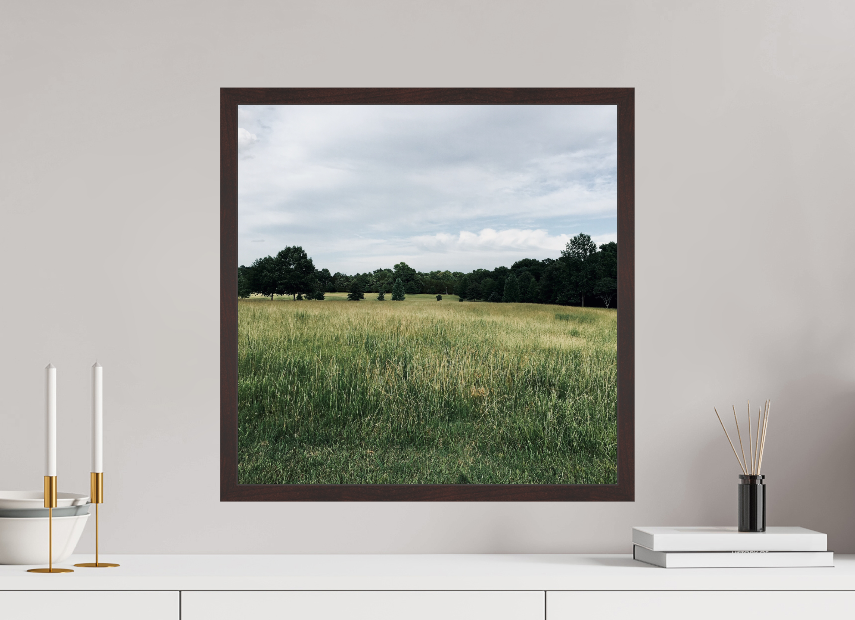 20 x 20″, ArtBox On Aluminum Dibond Field at Long Hunter State Park