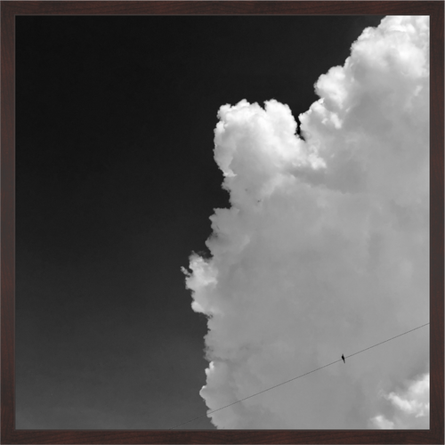 Main image Bird on a Wire