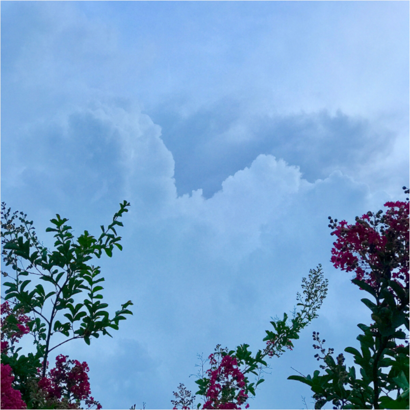 Main image Flowers/Clouds