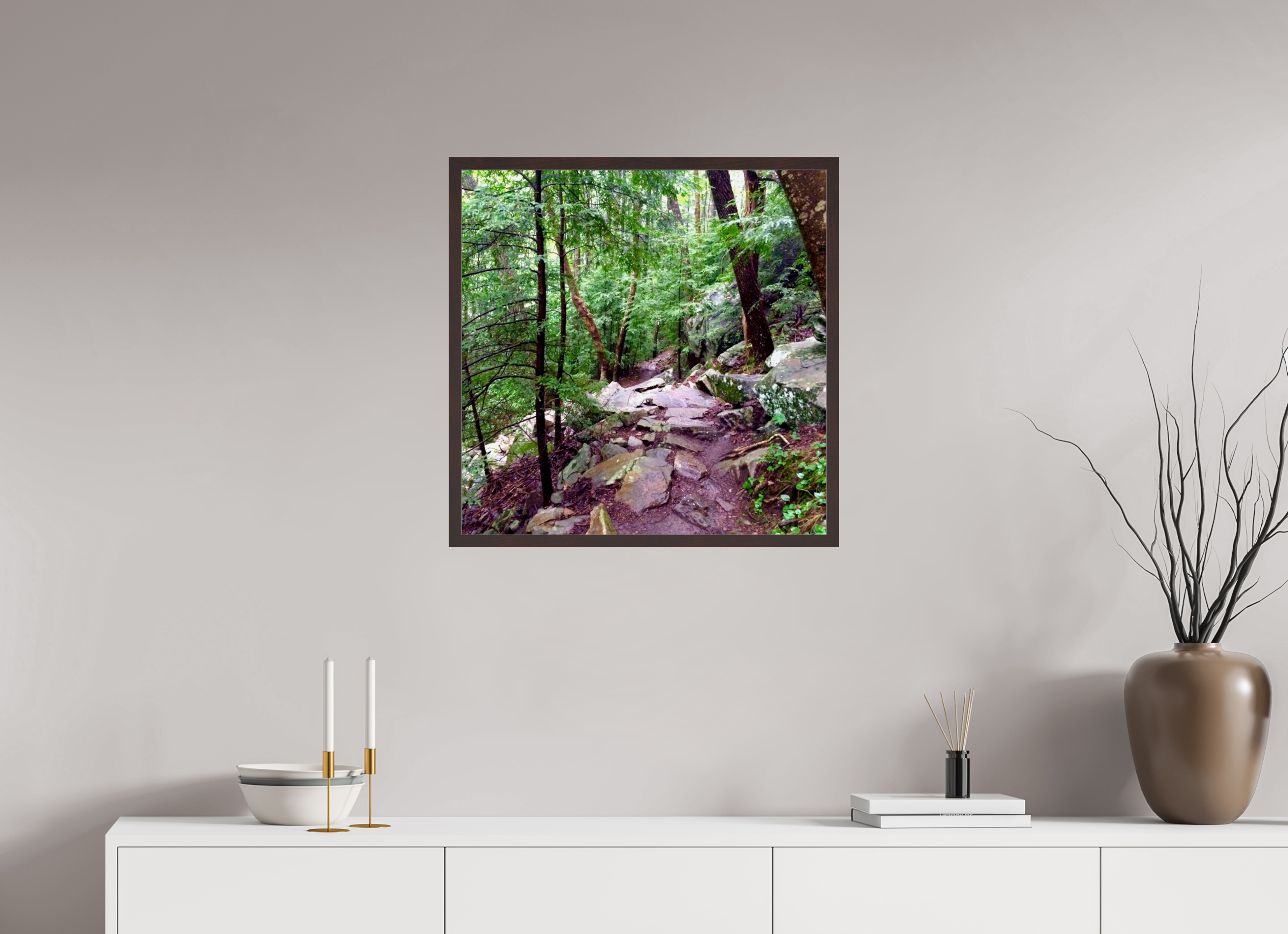 25 x 25″, ArtBox On Aluminum Dibond On a Trail Near Foster Falls