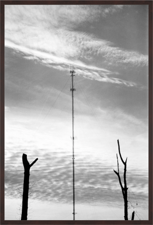 Main image Antenna and Trees