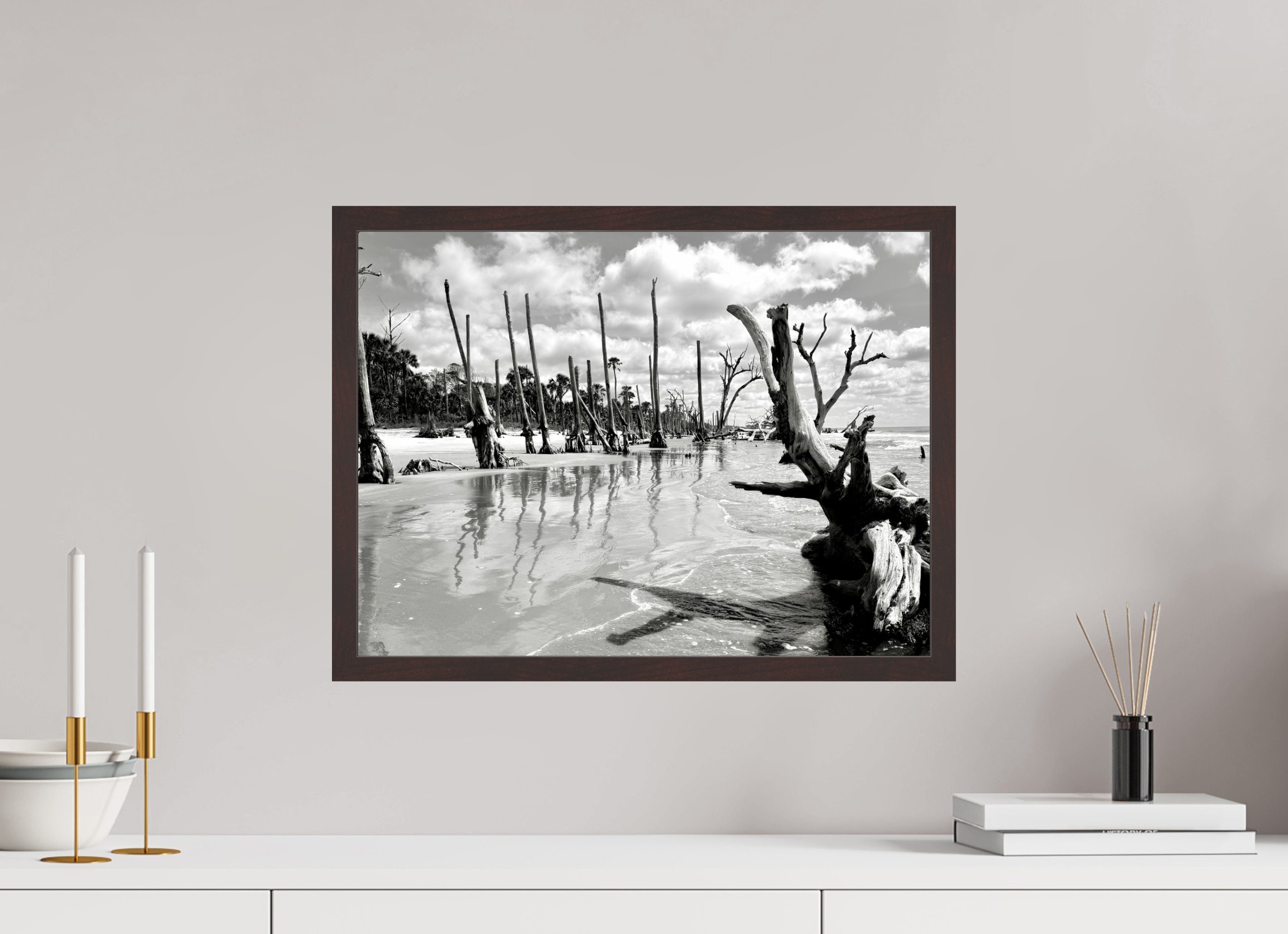 20 x 15″, ArtBox On Aluminum Dibond Trees at Capers Island