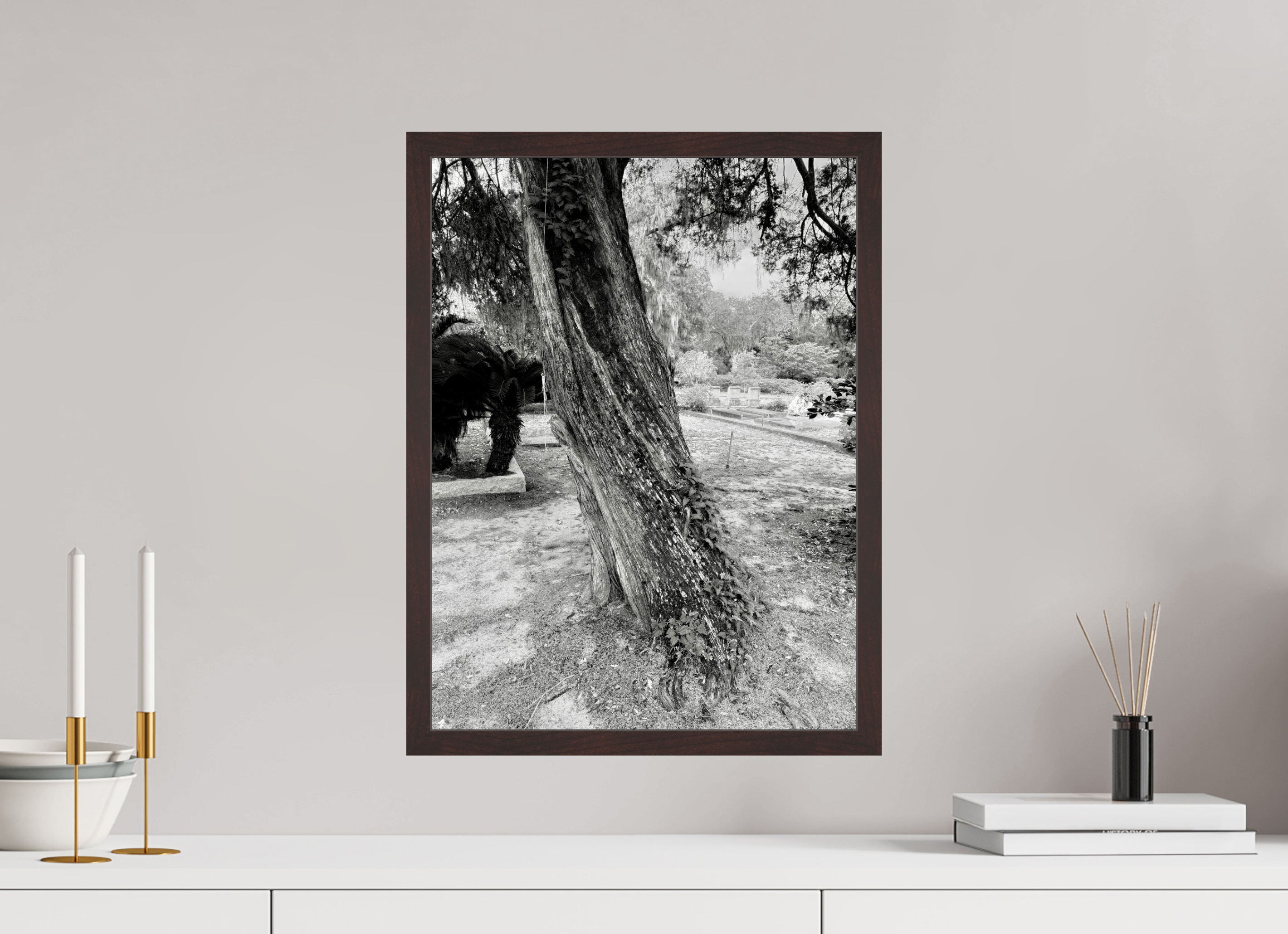 15 x 20″, ArtBox On Aluminum Dibond Tree at Bonaventure Cemetery