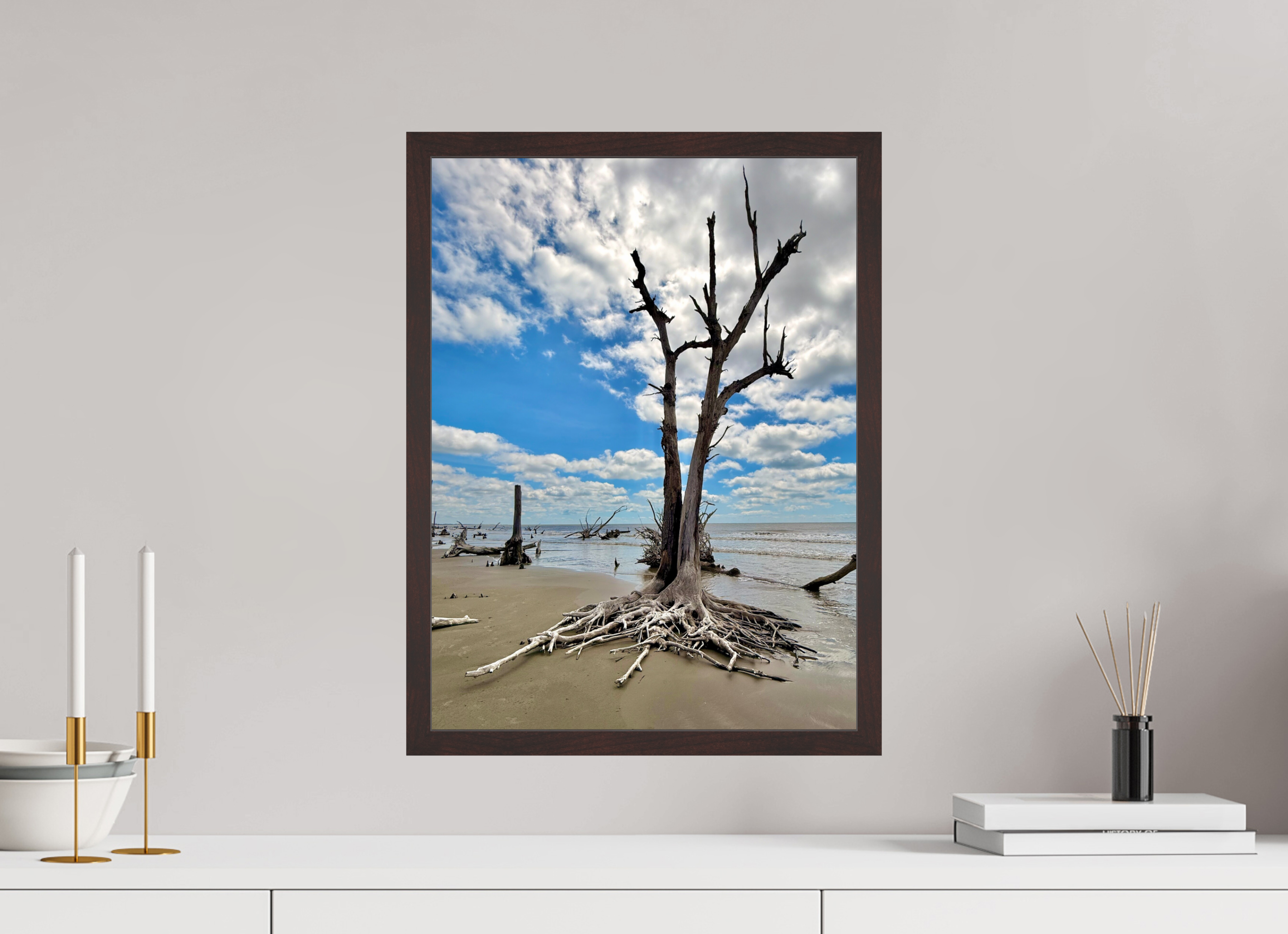 15 x 20″, ArtBox On Aluminum Dibond Tree at Capers Island