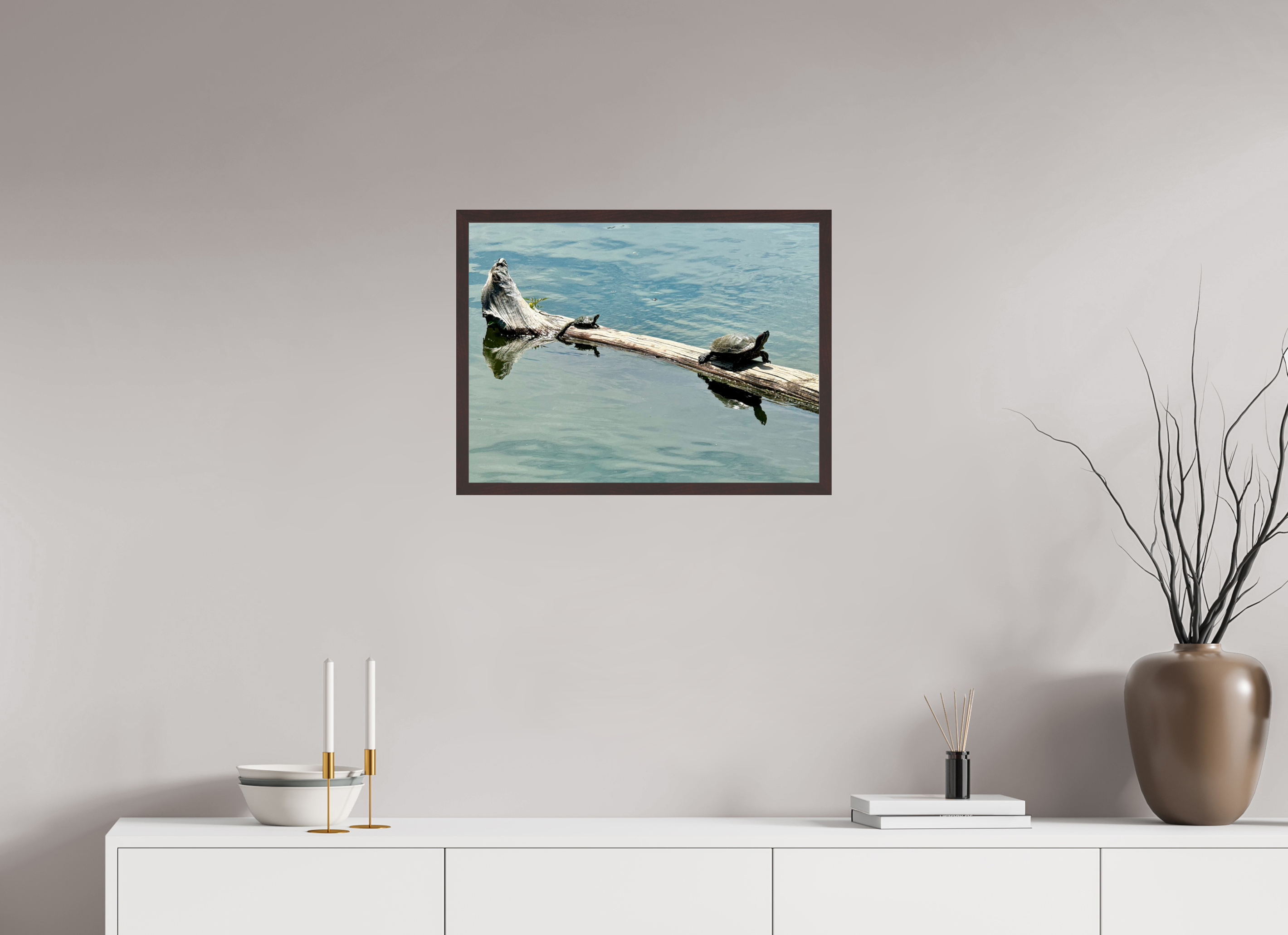 24 x 18″, ArtBox On Aluminum Dibond Turtles