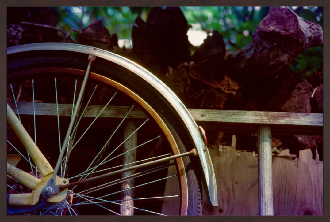 Main image Bicycle and Ladder