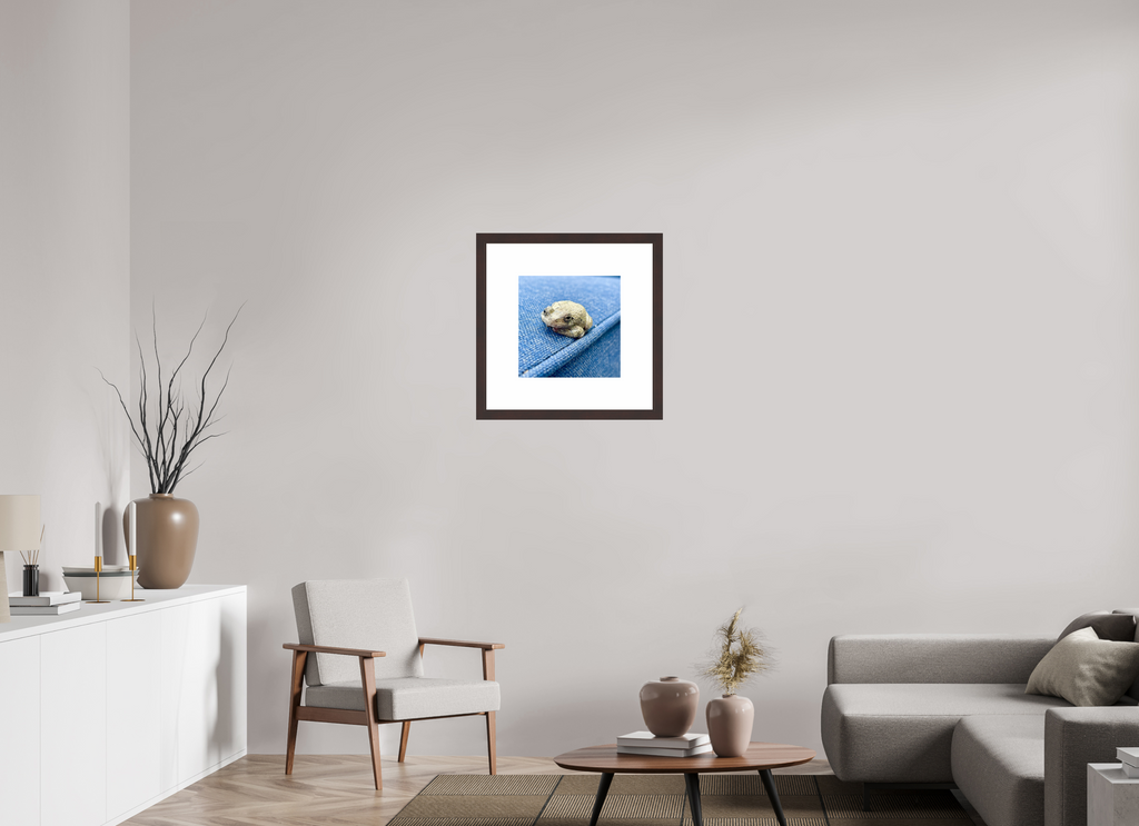 15 x 15″, Framed, Alder Brown, Color Print Frog