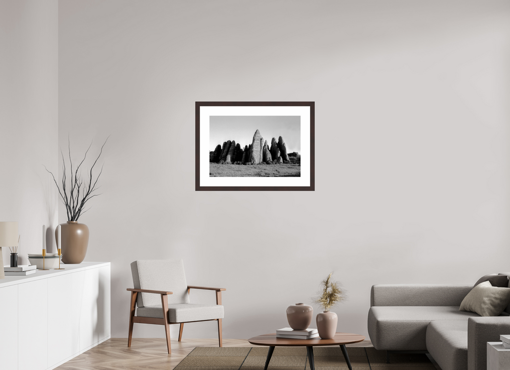 29.6 x 20″, Framed, Alder Brown, B&W Print Fin Formations