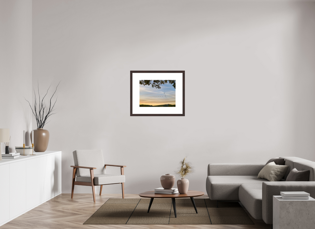 24 x 18″, Framed, Alder Brown, Color Print Flock of Geese