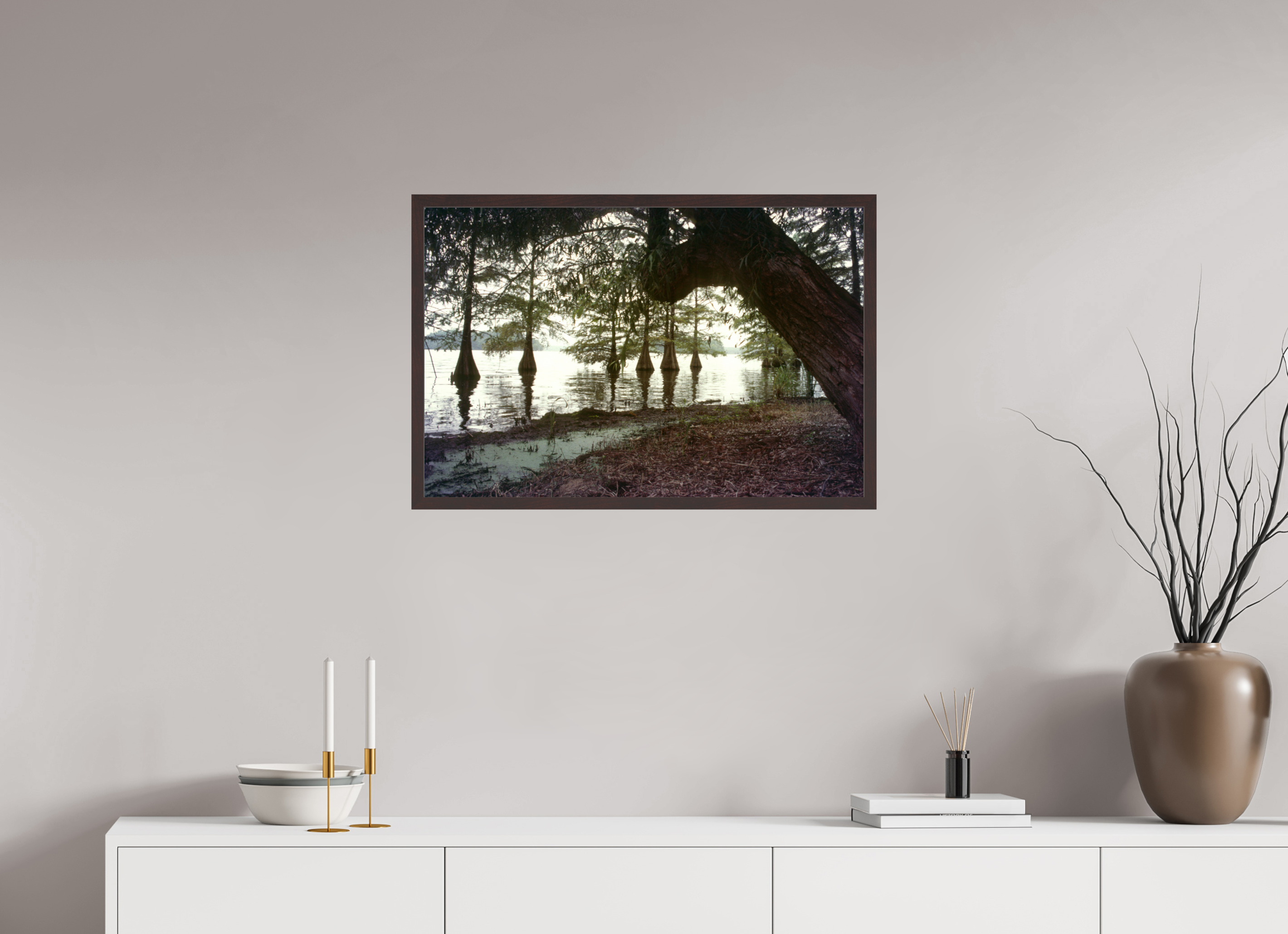 30 x 20″, ArtBox On Aluminum Dibond Cypress Trees