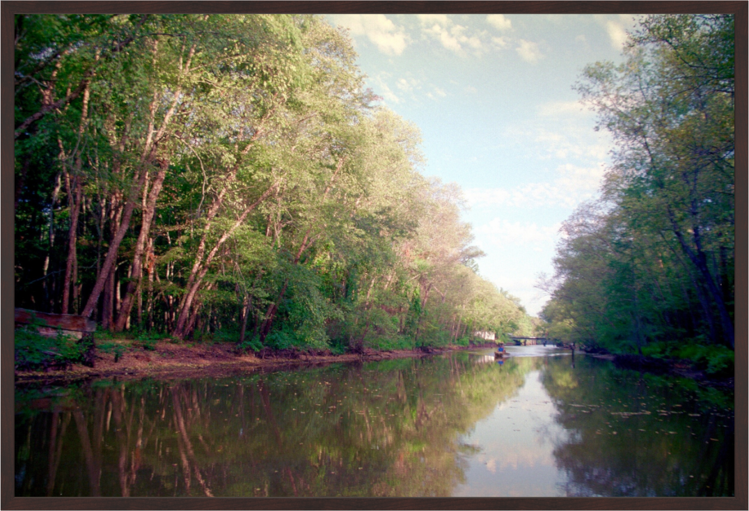 Main image Caddo Lake Canal