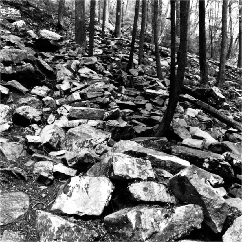 Main image Rocky Hillside