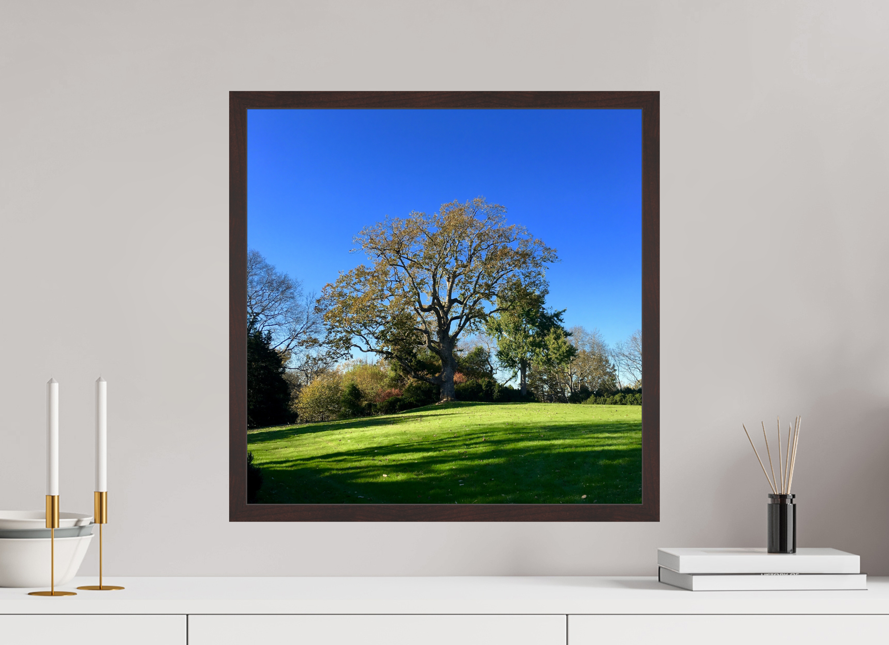 20 x 20″, ArtBox On Aluminum Dibond Tree at Cheekwood