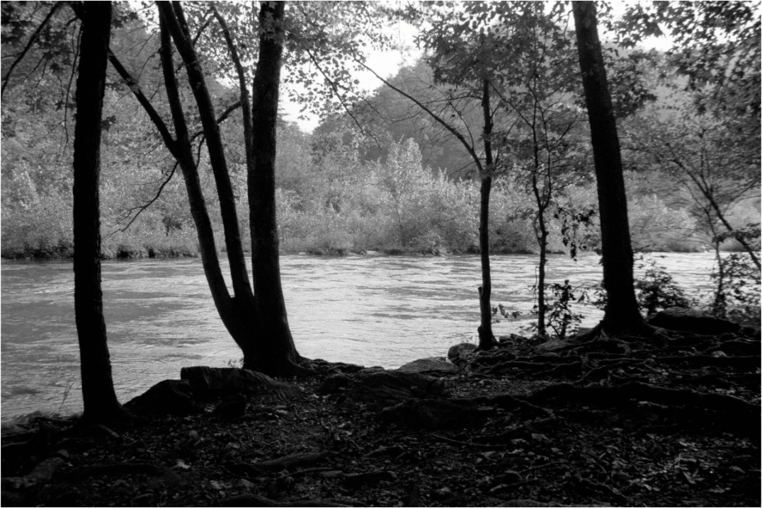 Main image Chestatee Riverbank