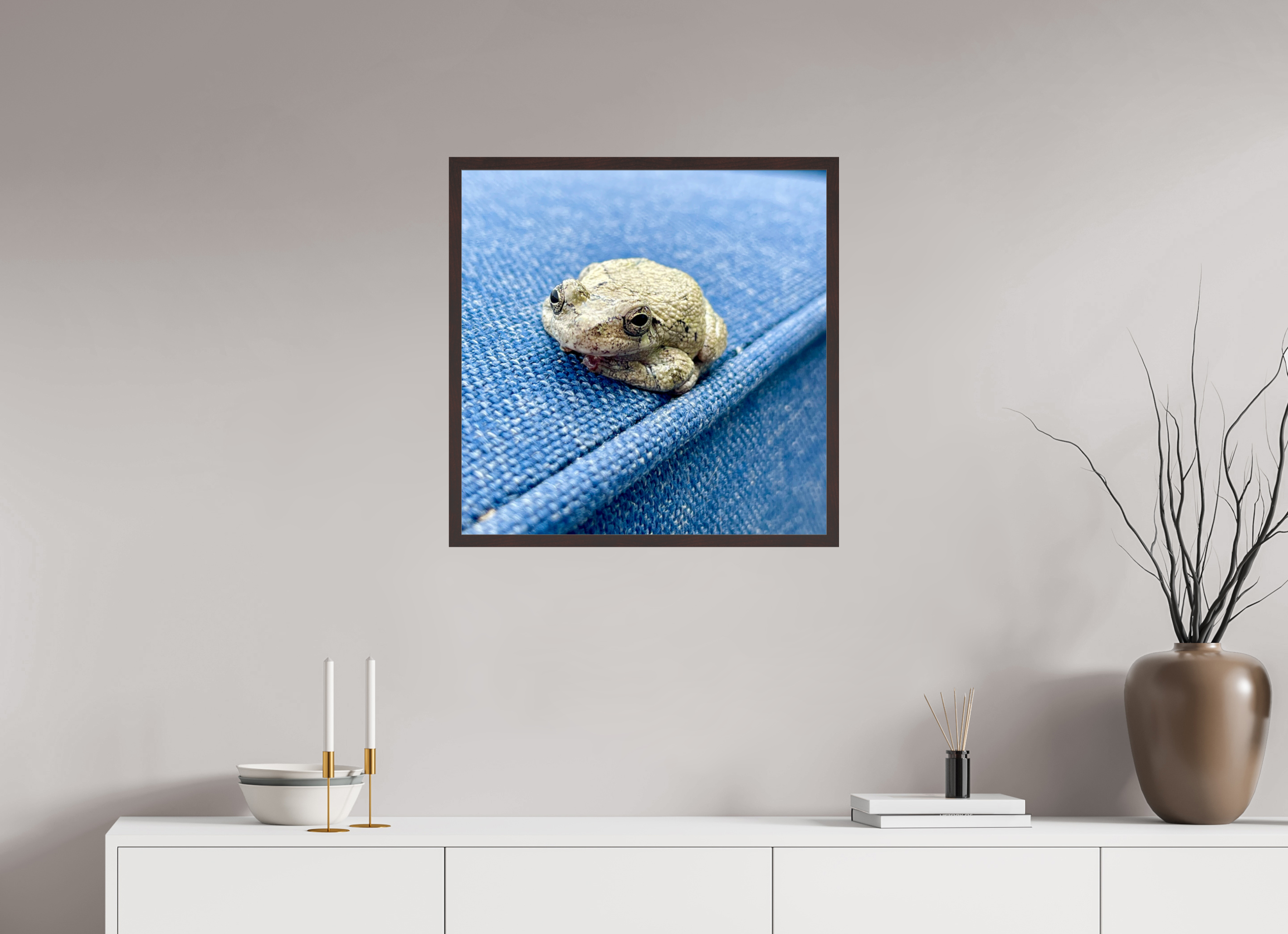 25 x 25″, ArtBox On Aluminum Dibond Frog