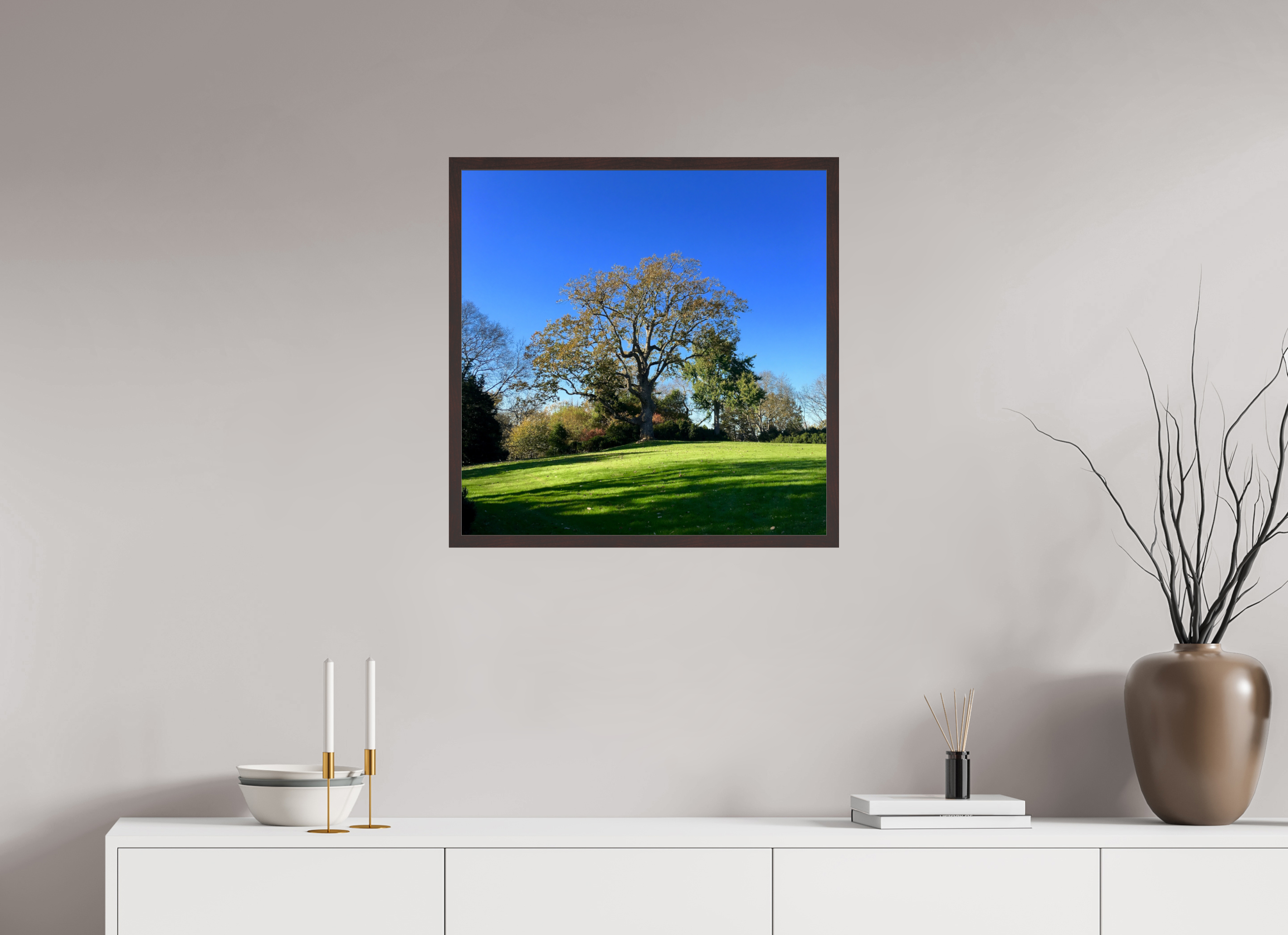 25 x 25″, ArtBox On Aluminum Dibond Tree at Cheekwood