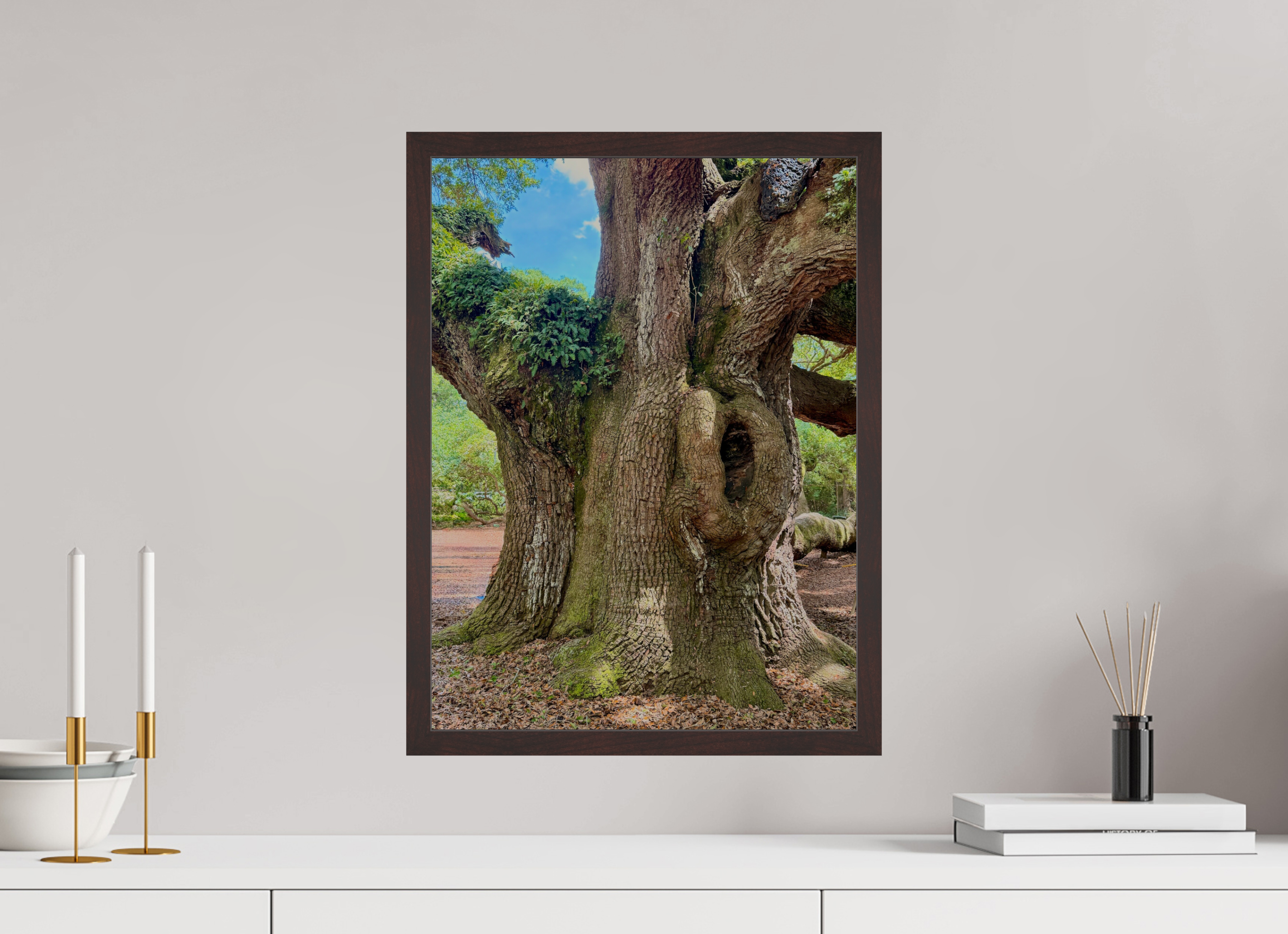 15 x 20″, ArtBox On Aluminum Dibond Angel Oak