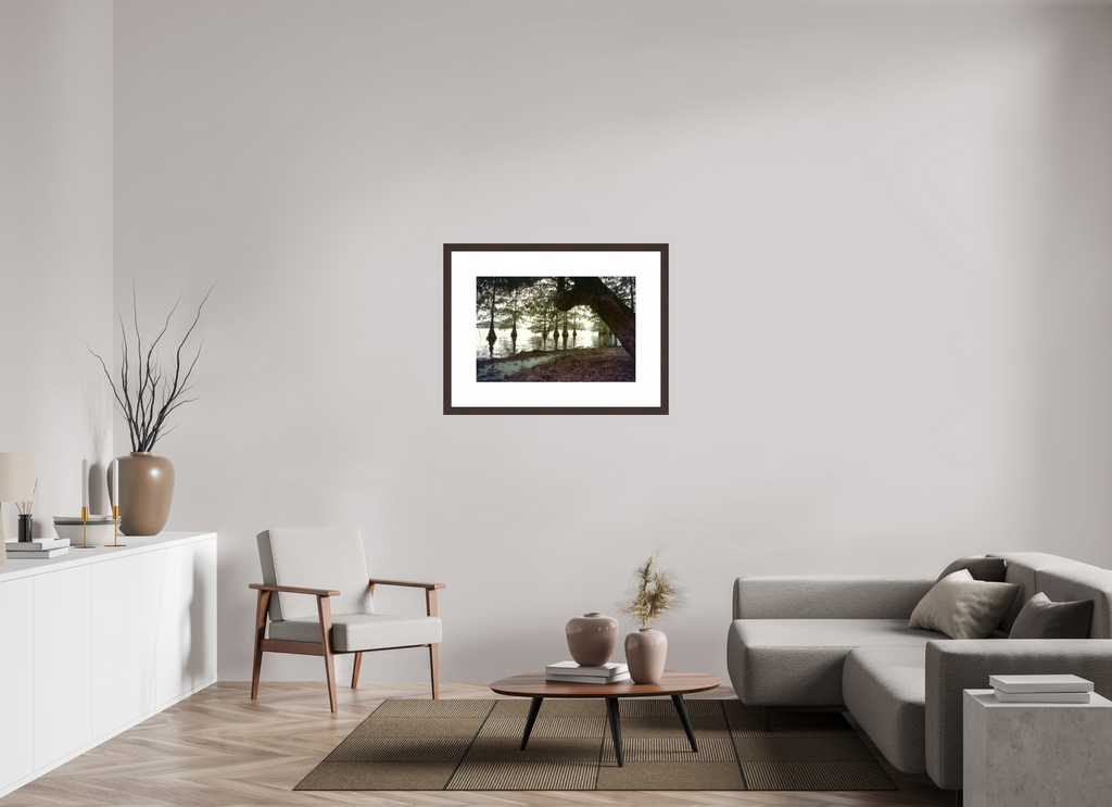 30 x 20″, Framed, Alder Brown, Color Print Cypress Trees Along Bank