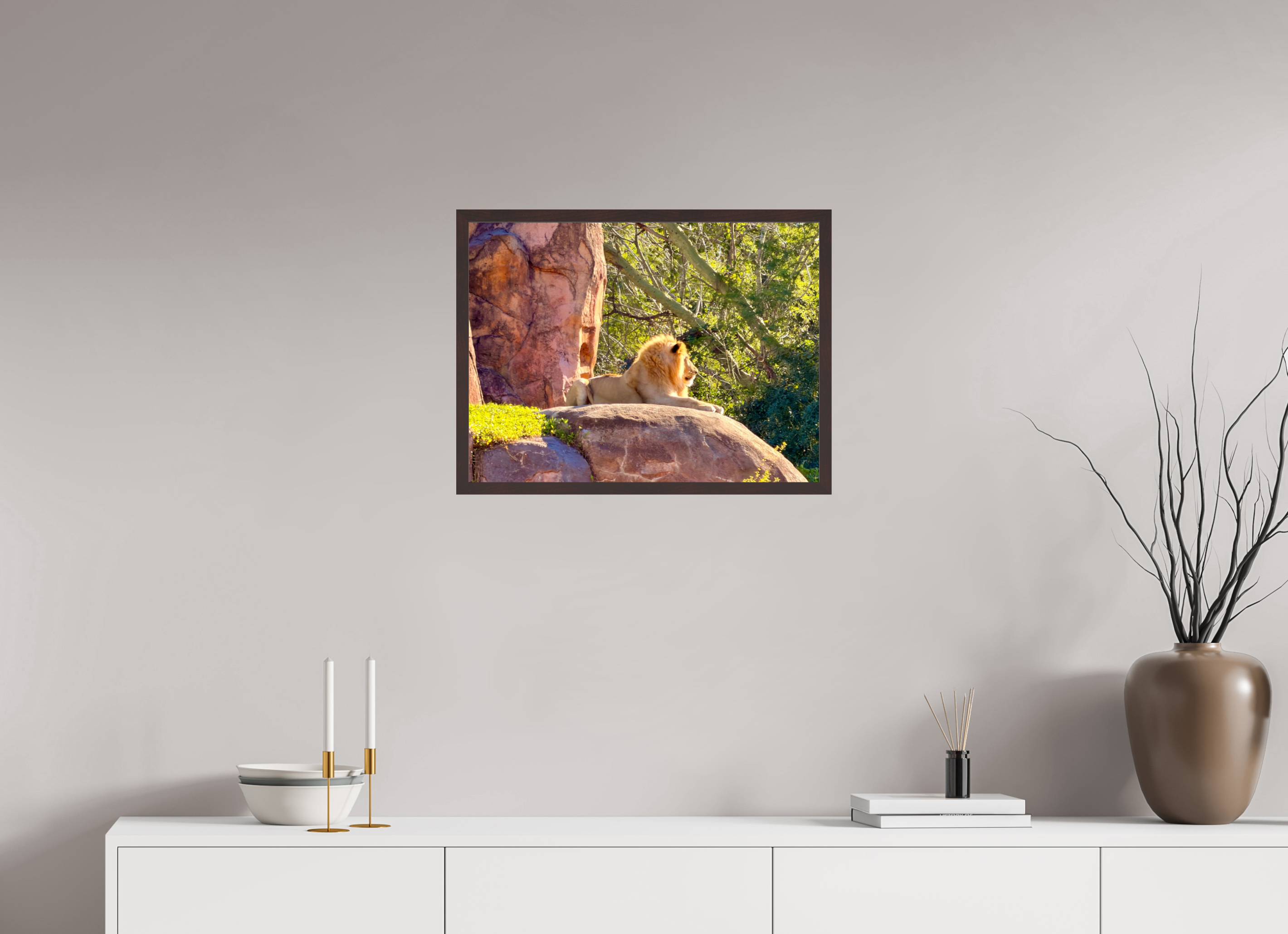 24 x 18″, ArtBox On Aluminum Dibond Lion