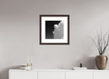 15 x 15″, Framed, Alder Brown, B&W Print Bird on a Wire