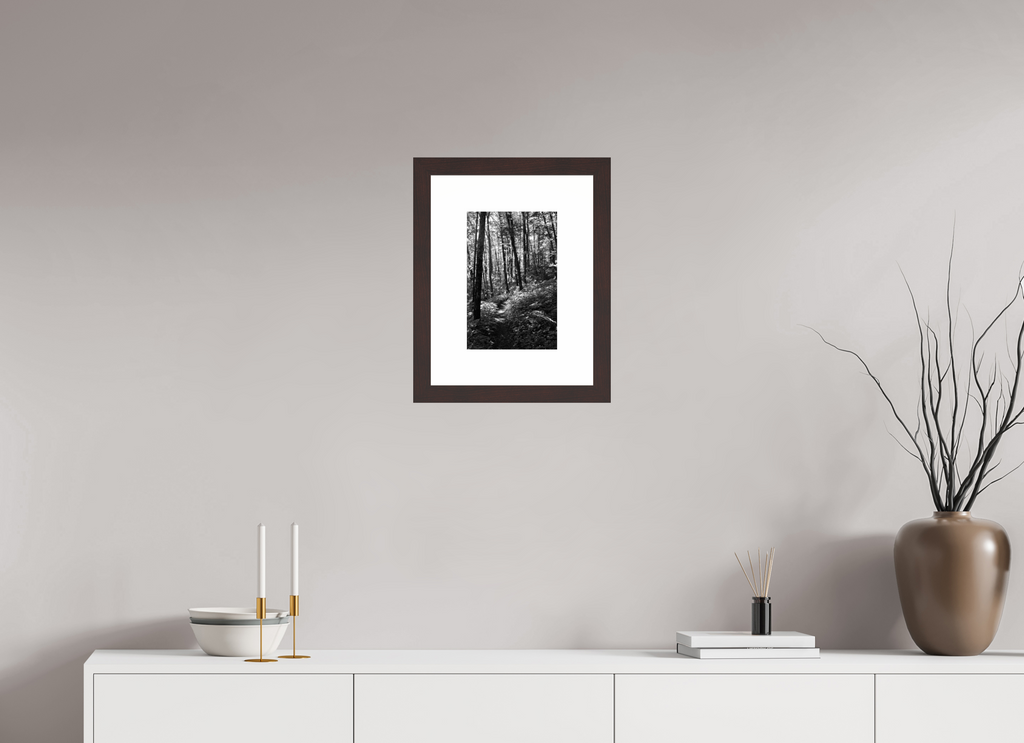 8 x 12″, Framed, Alder Brown, B&W Print Appalachian Trail, View 1