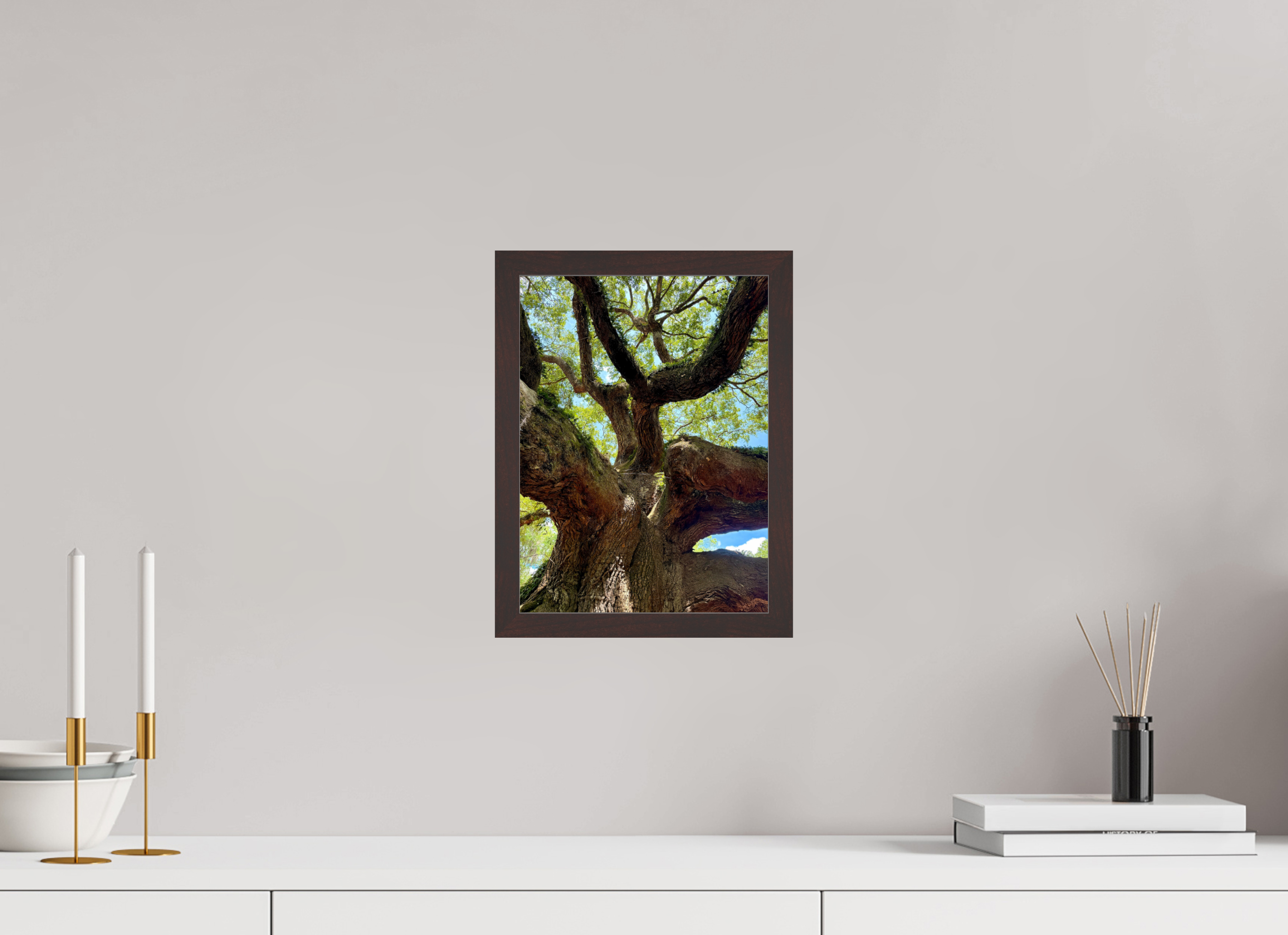 9 x 12″, ArtBox On Aluminum Dibond Angel Oak