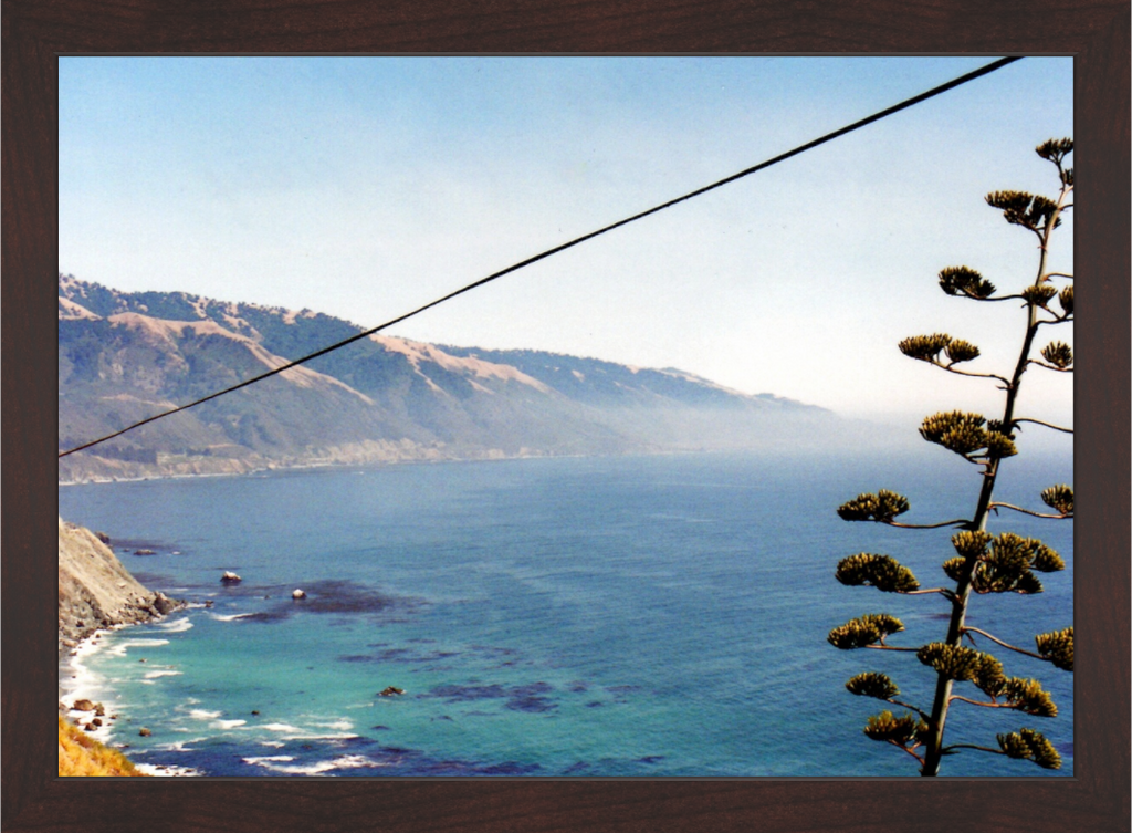 Main image Line / California Coast
