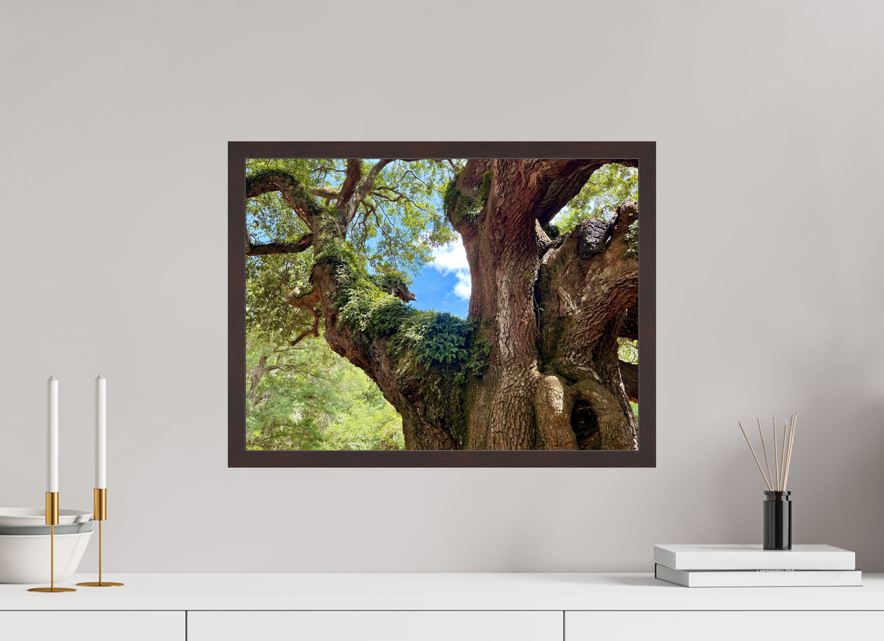 20 x 15″, ArtBox On Aluminum Dibond Angel Oak
