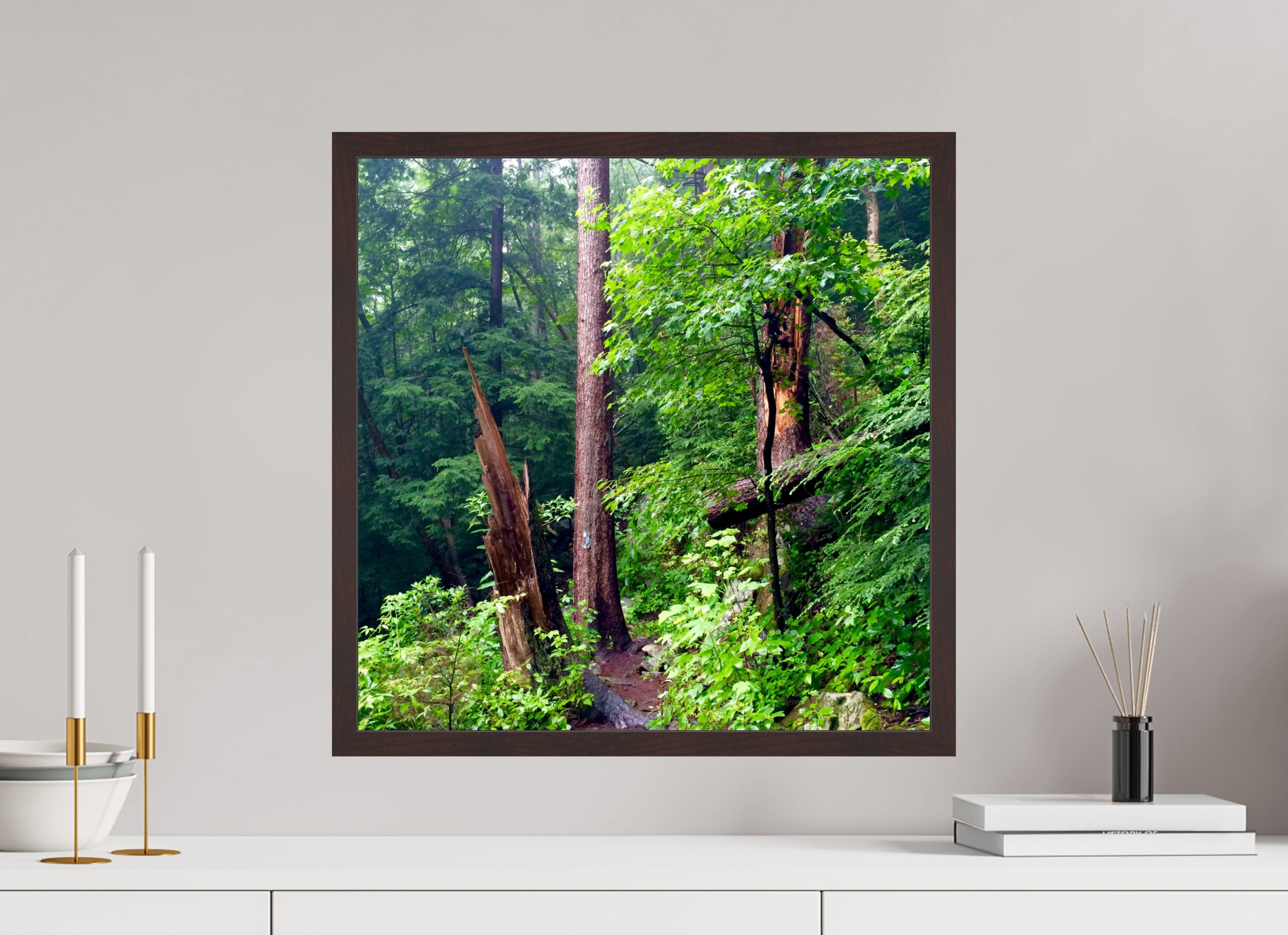 20 x 20″, ArtBox On Aluminum Dibond Tree Stumps