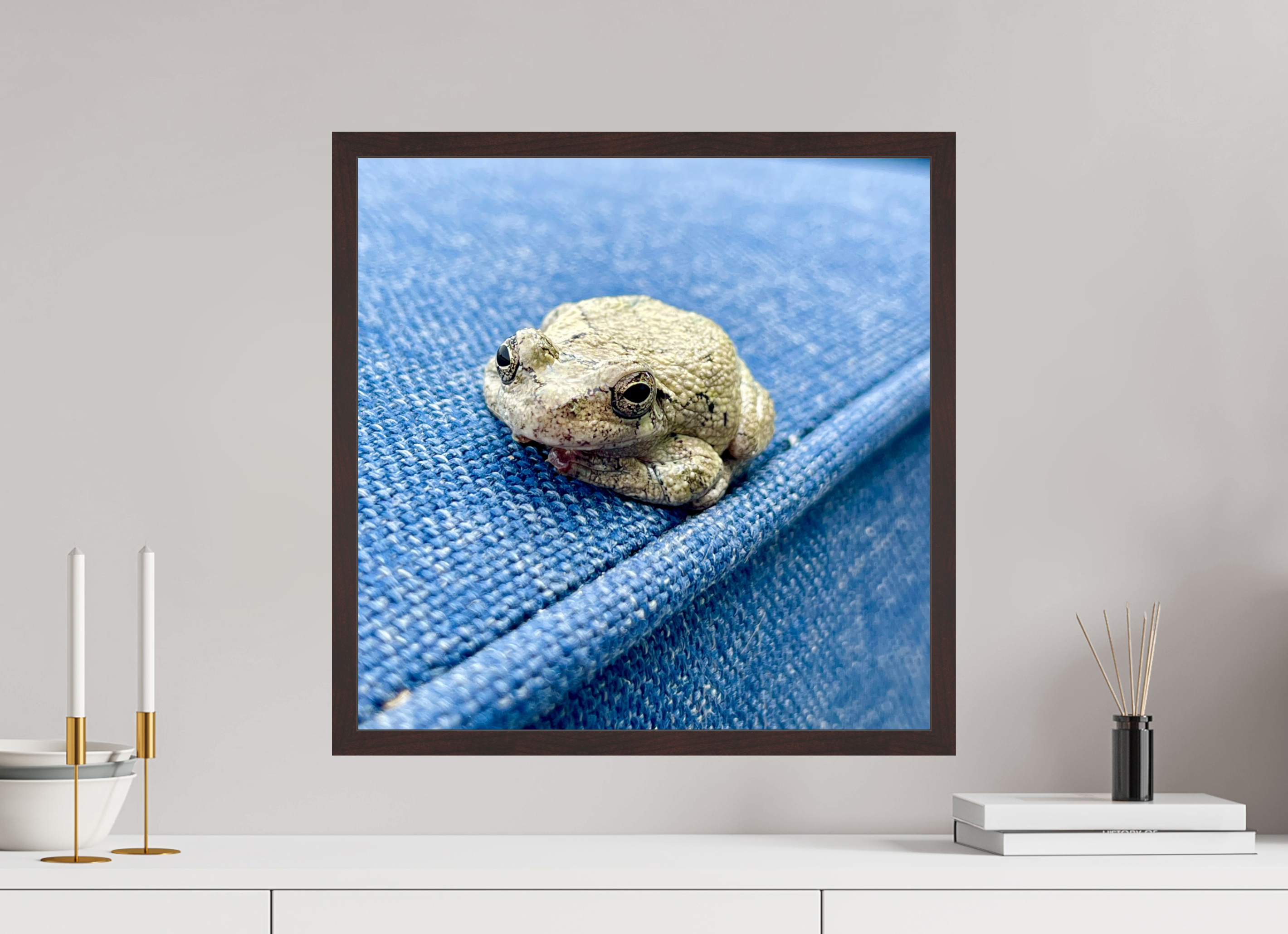 20 x 20″, ArtBox On Aluminum Dibond Frog