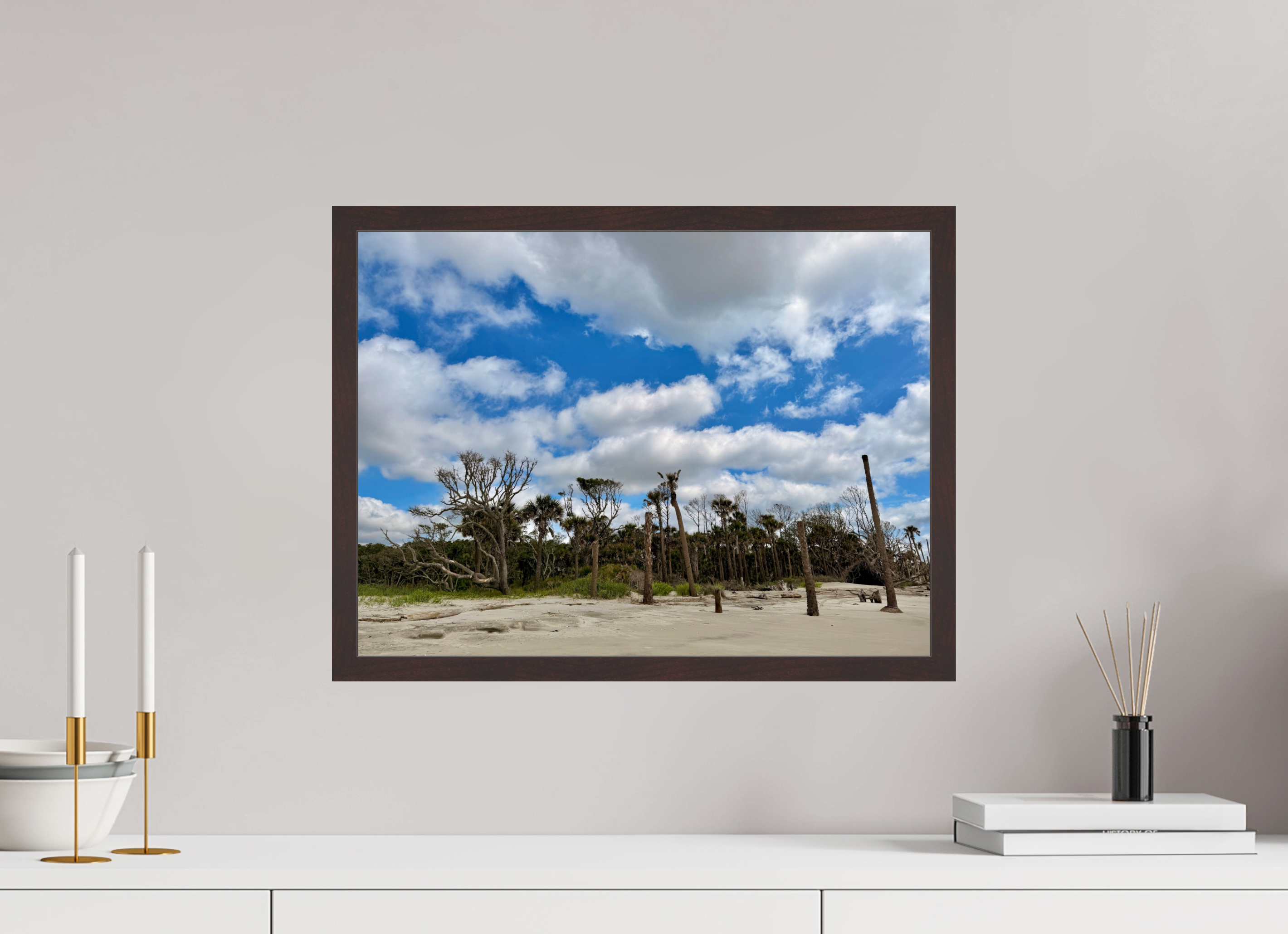 20 x 15″, ArtBox On Aluminum Dibond Trees at Capers Island