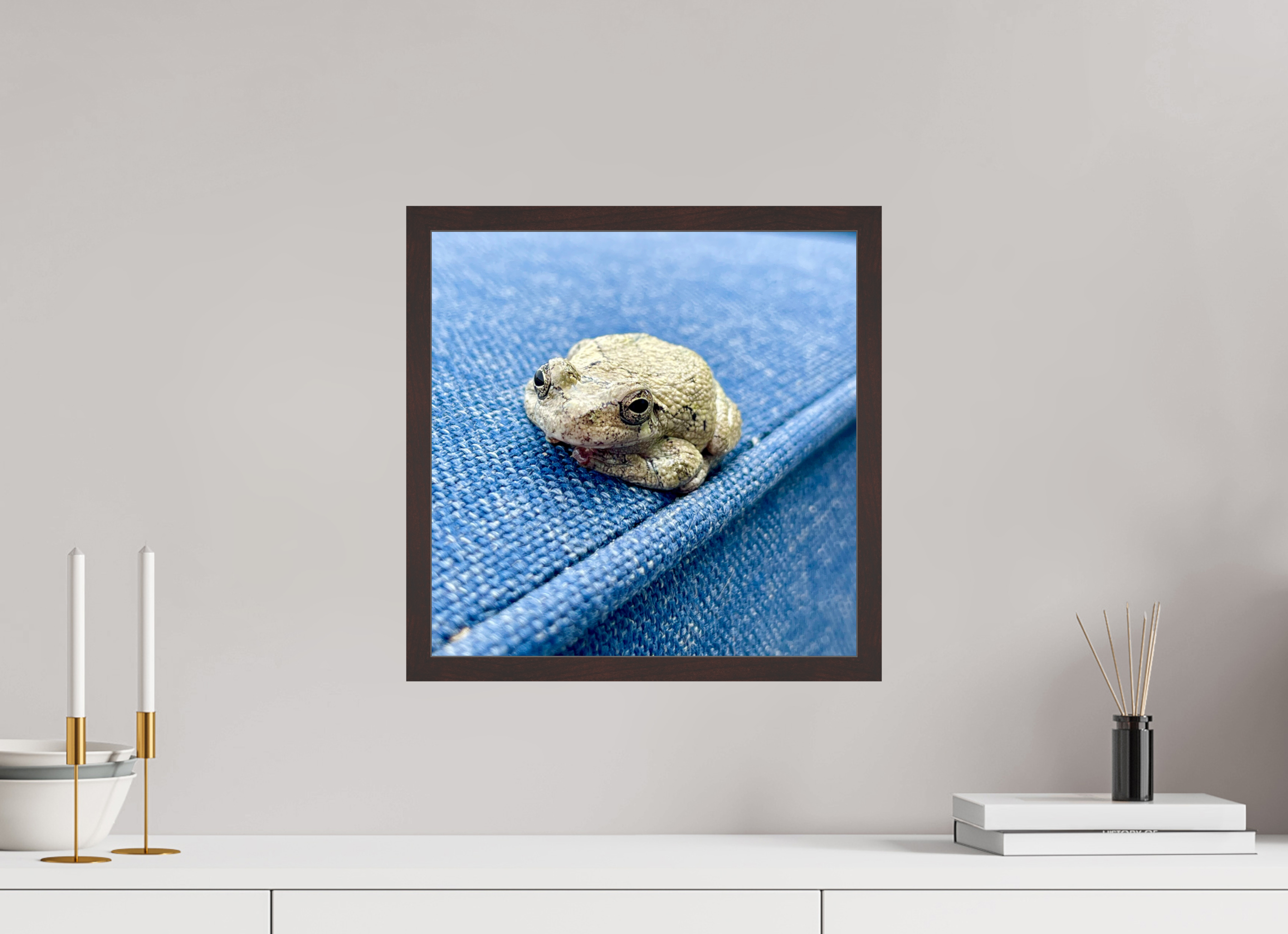 15 x 15″, ArtBox On Aluminum Dibond Frog