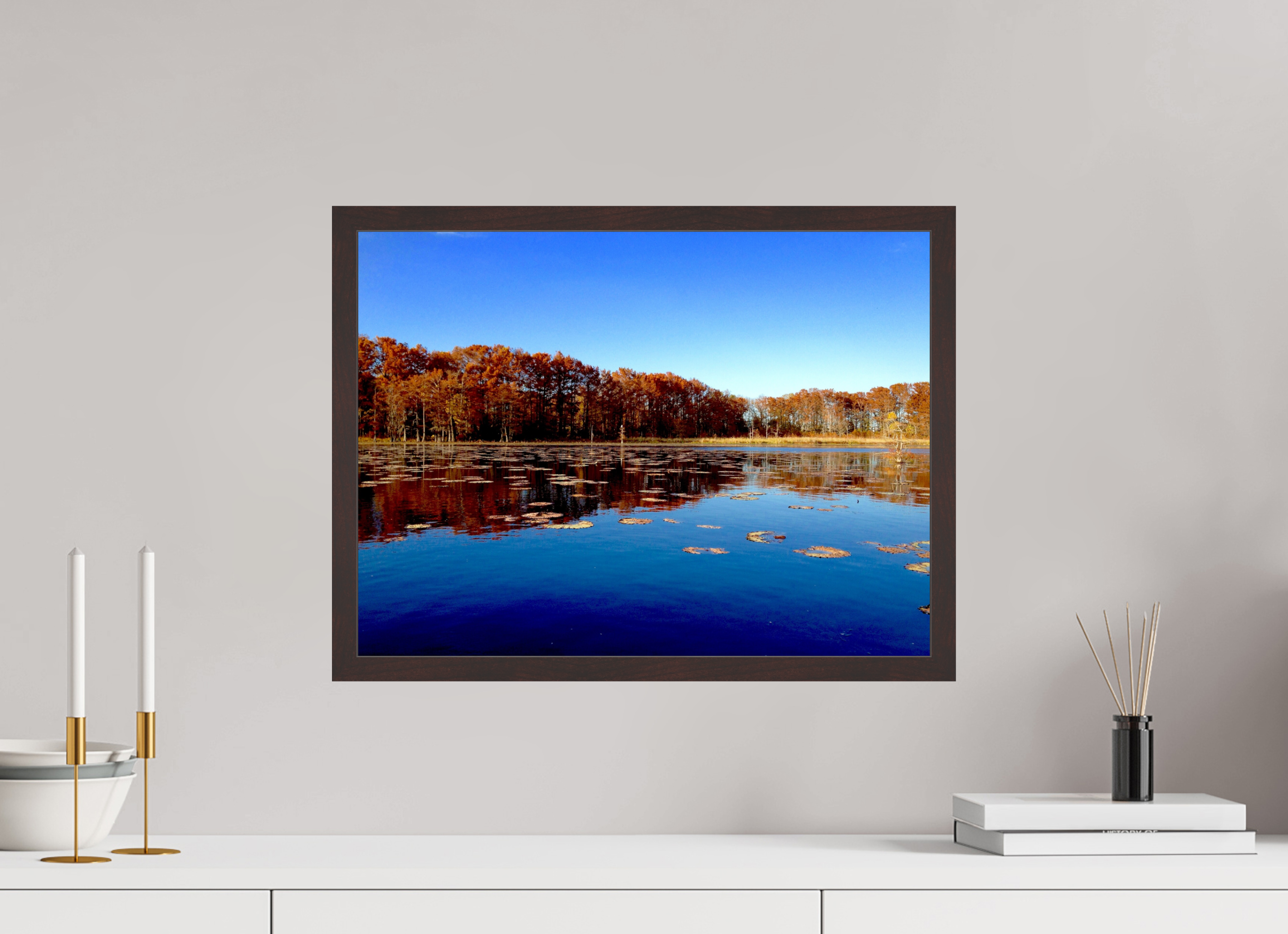 20 x 15″, ArtBox On Aluminum Dibond Black Bayou