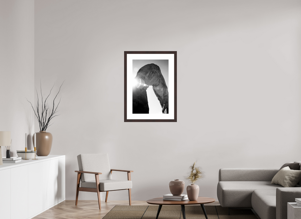20 x 29.7″, Framed, Alder Brown, B&W Print Delicate Arch, Close Up