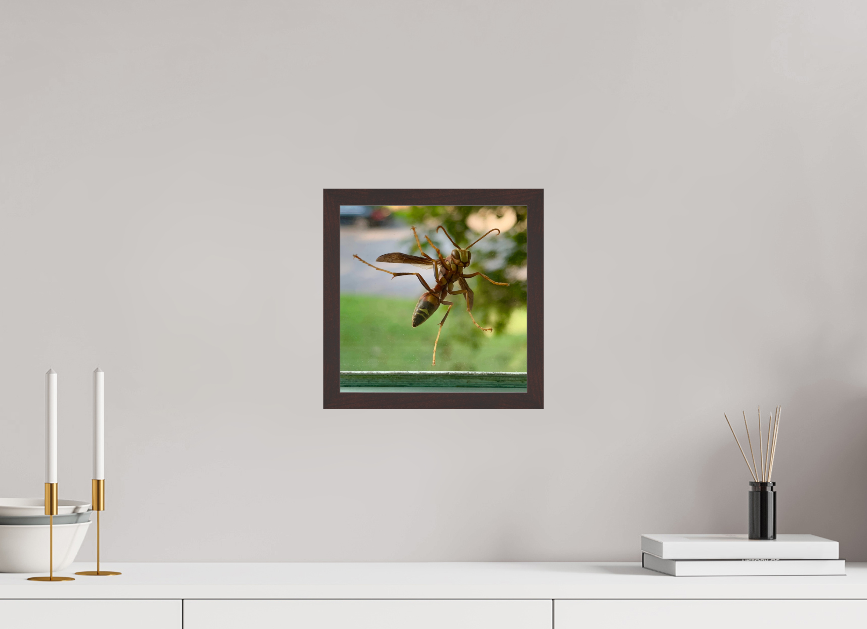 10 x 10″, ArtBox On Aluminum Dibond Paper Wasp