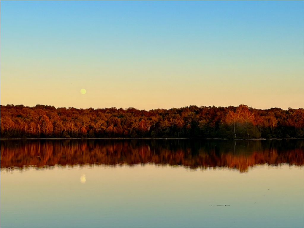 Main image Long Hunter State Park
