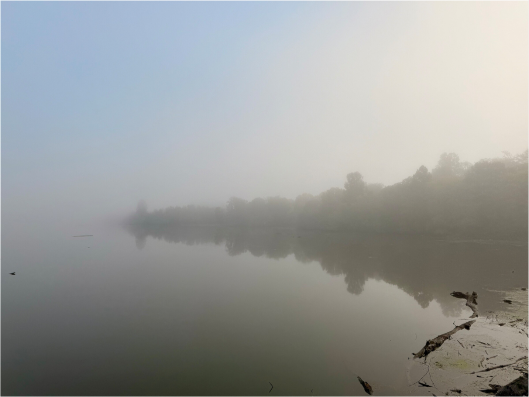 Main image Goggy Morning at Cordell Hull Reservoir