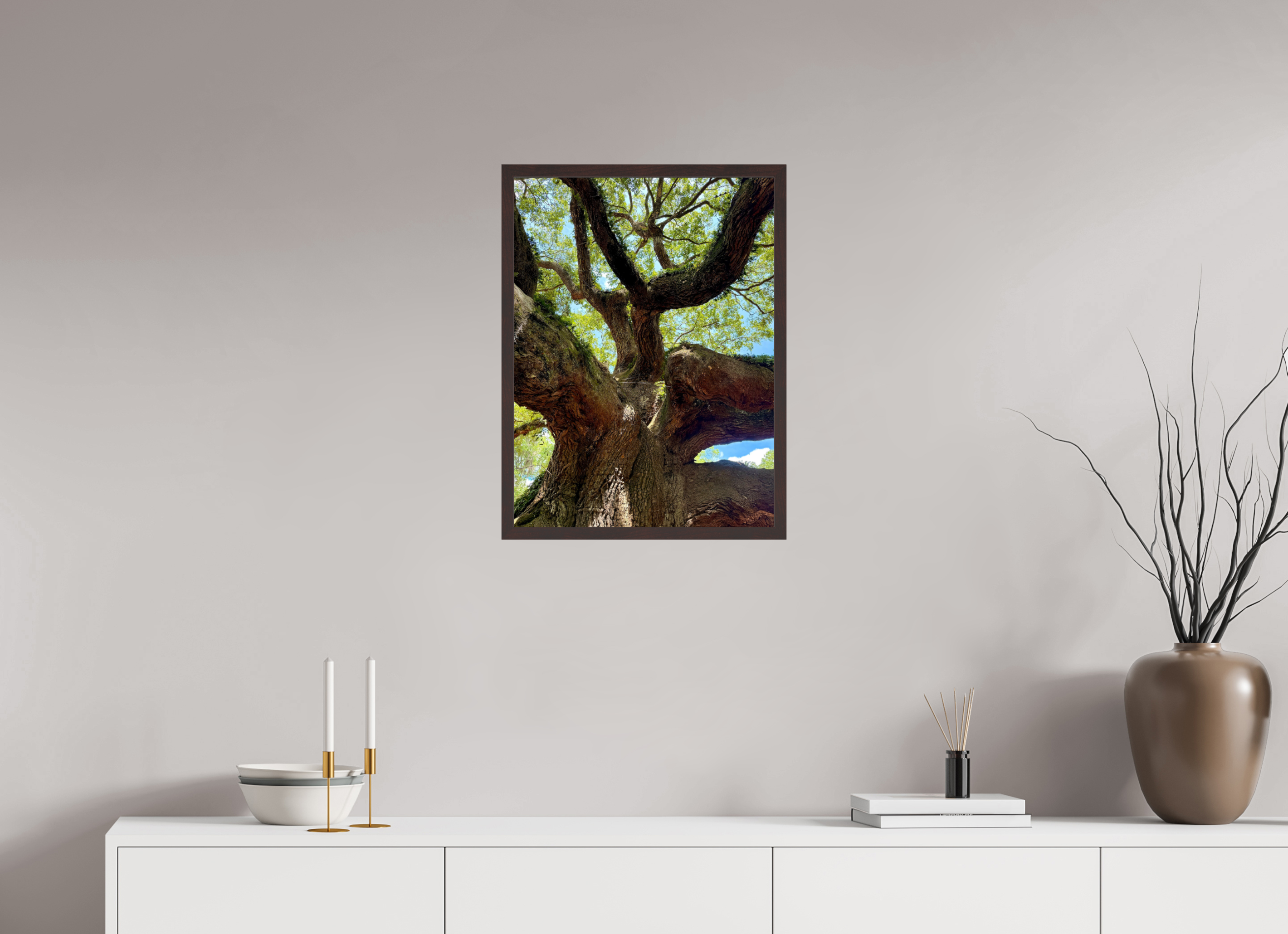 18 x 24″, ArtBox On Aluminum Dibond Angel Oak