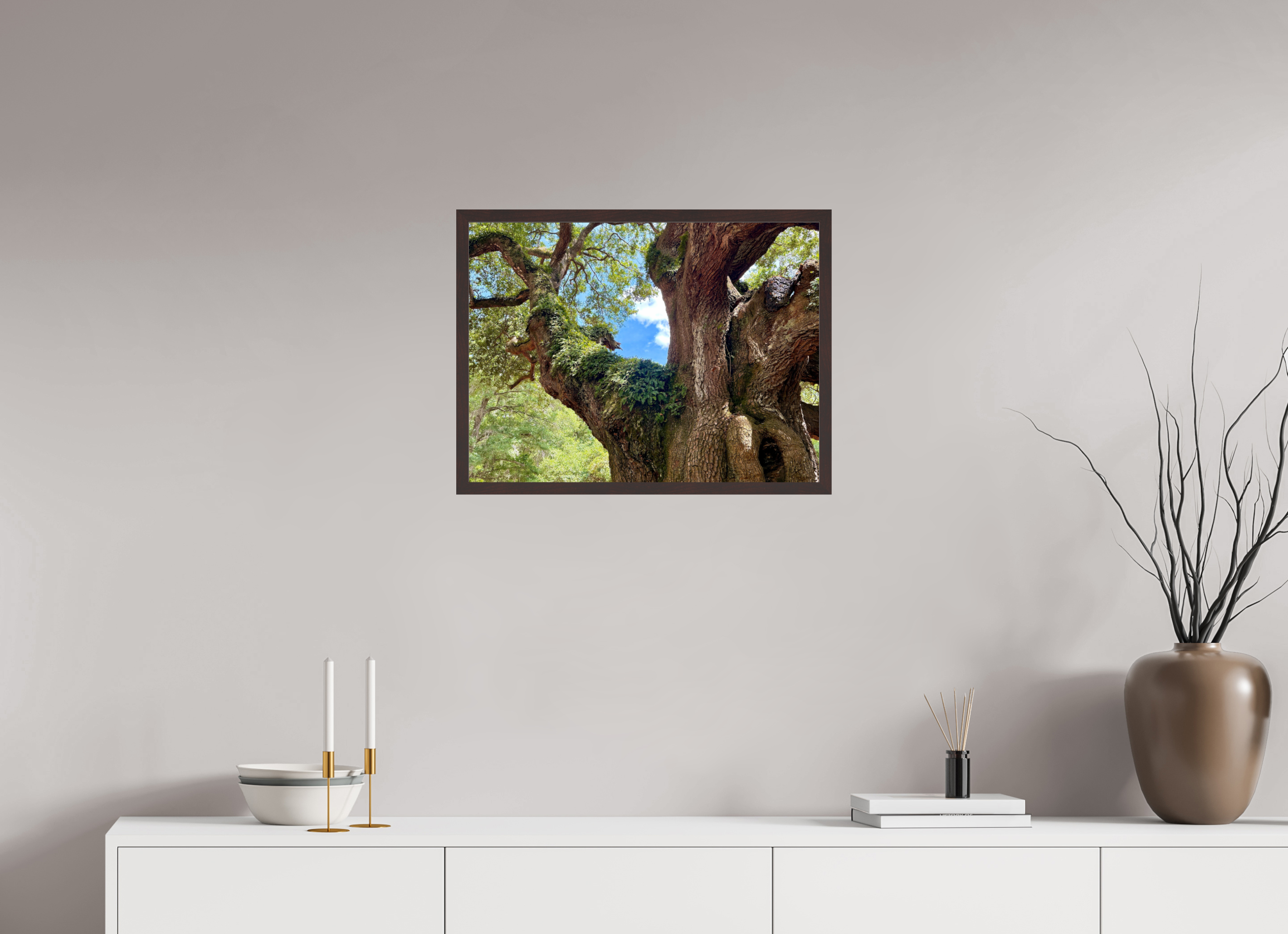 24 x 18″, ArtBox On Aluminum Dibond Angel Oak