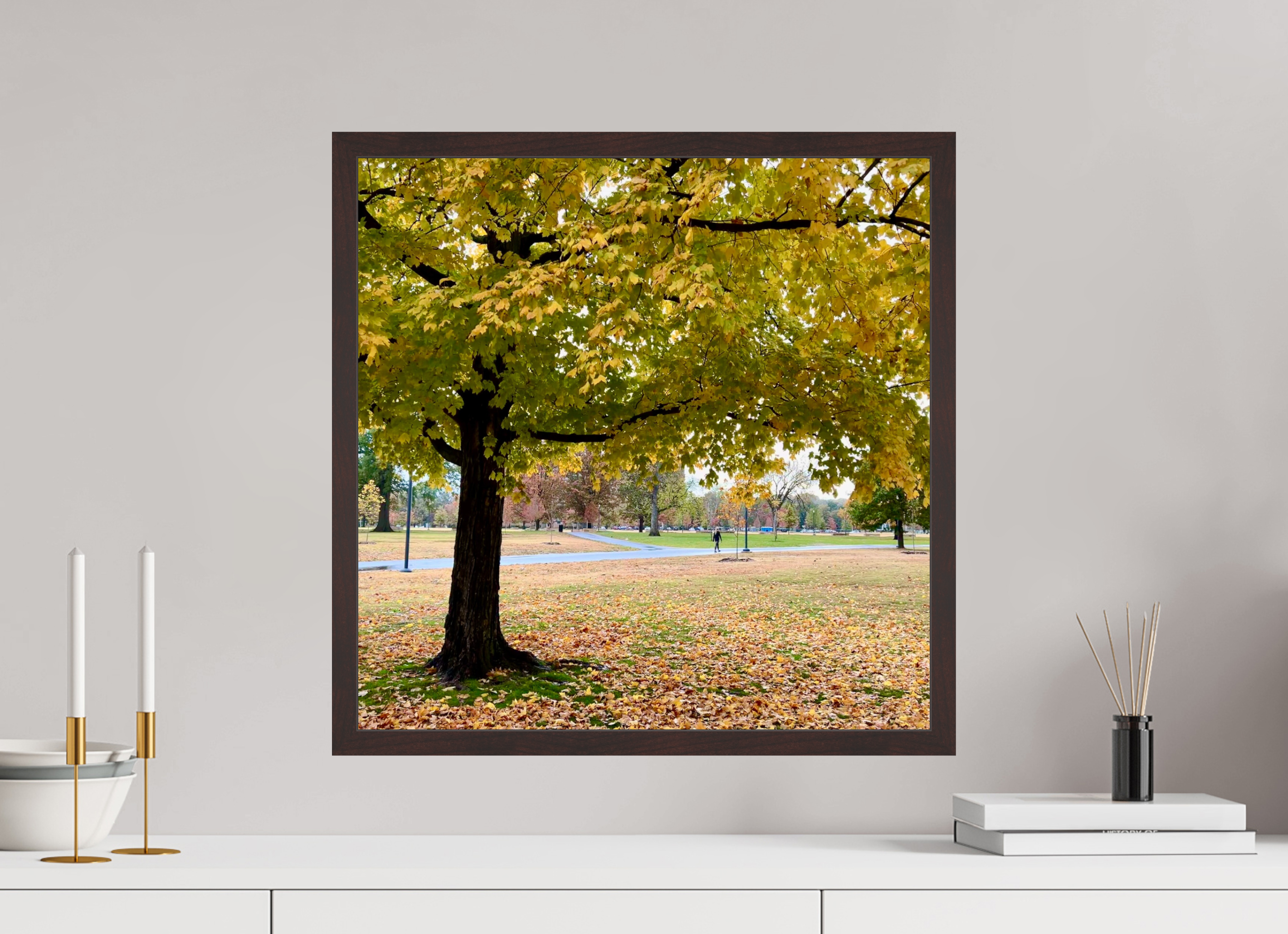 20 x 20″, ArtBox On Aluminum Dibond A Tree In Centennial Park