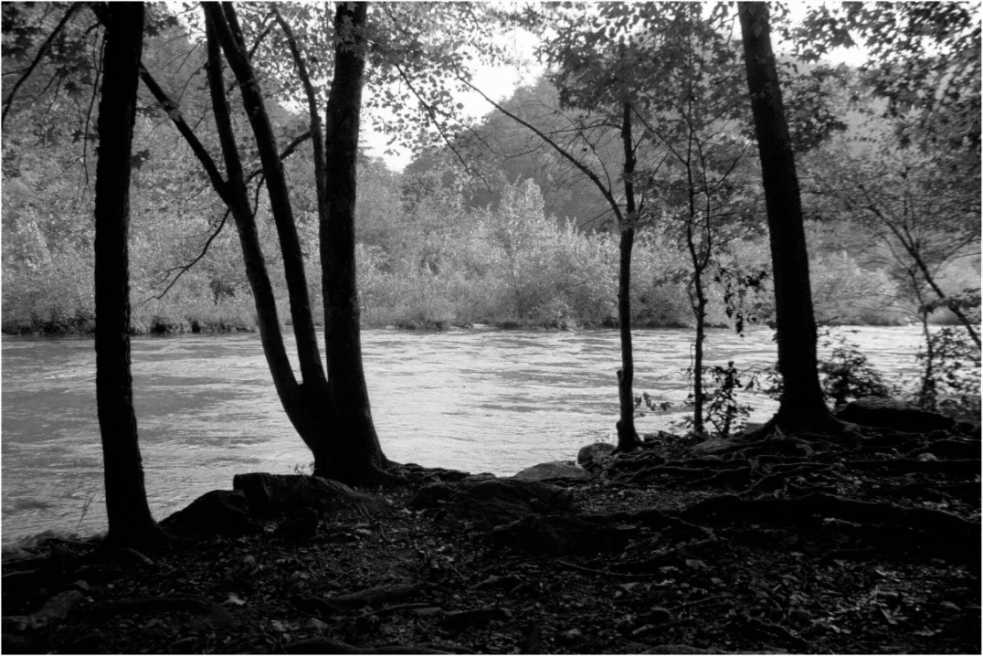 Main image Chestatee River Bank