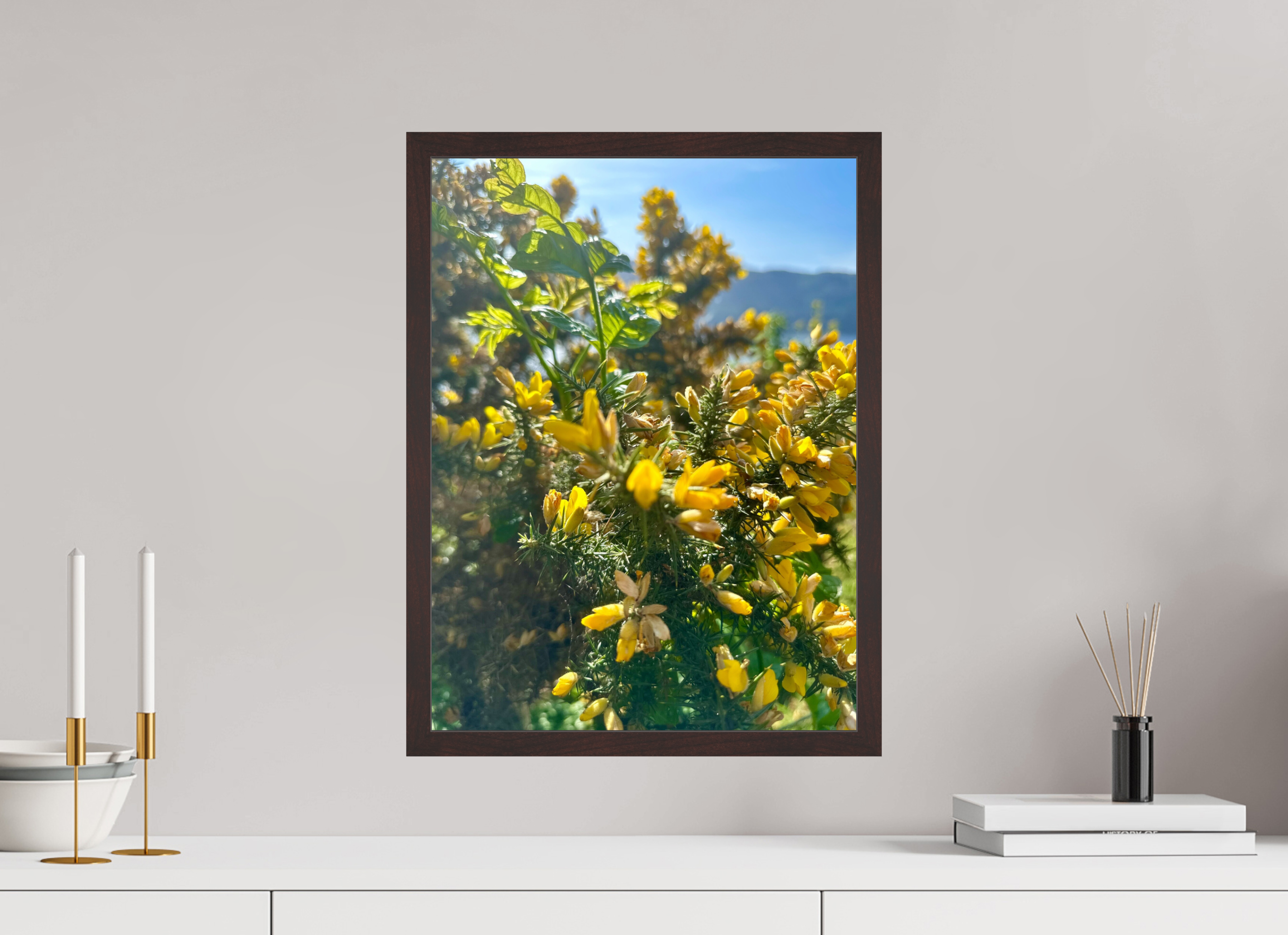 15 x 20″, ArtBox On Aluminum Dibond Gorse