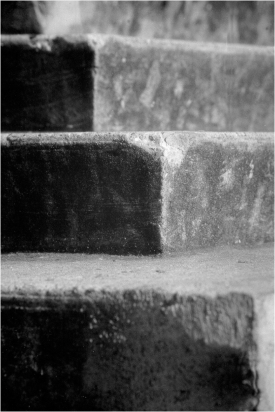 Main image Steps