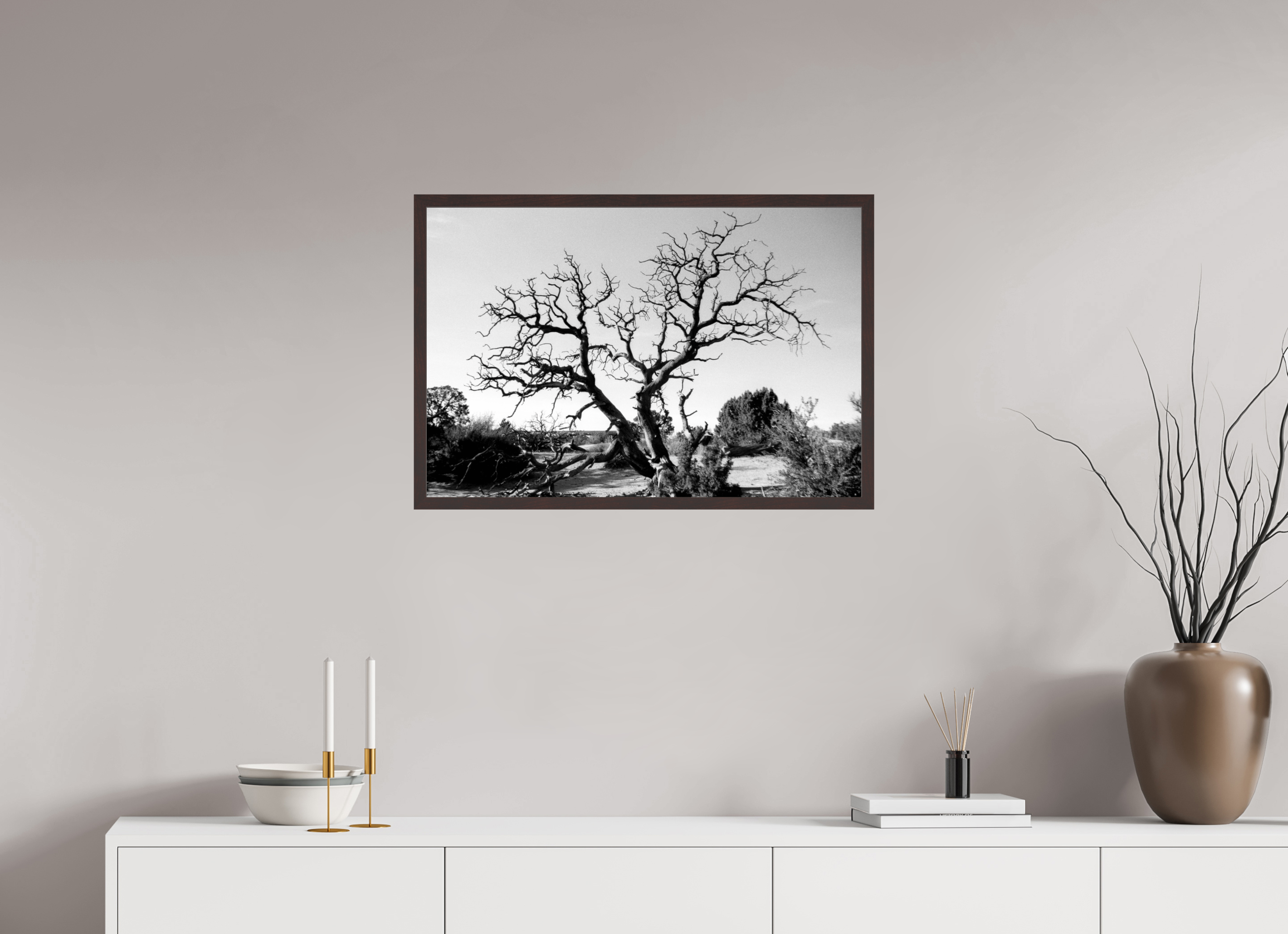 29.7 x 20″, ArtBox On Aluminum Dibond Tree Near Skyline Arch