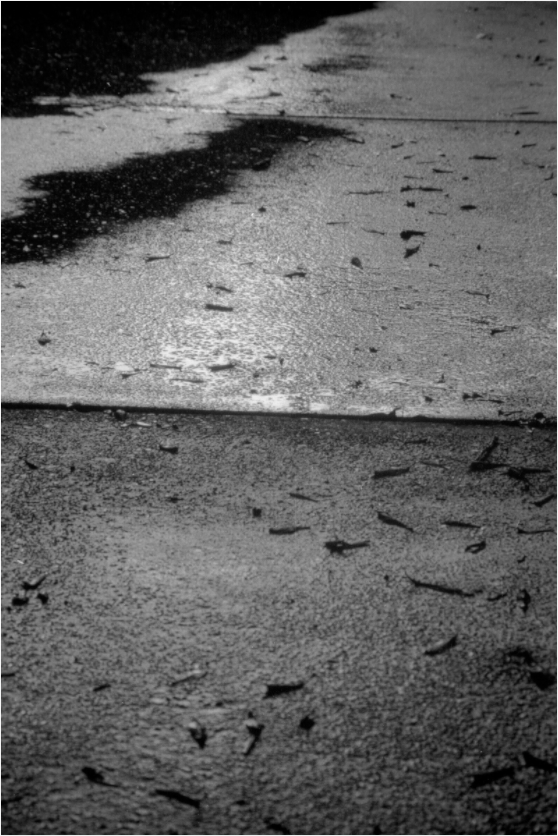 Main image Wet Sidewalk