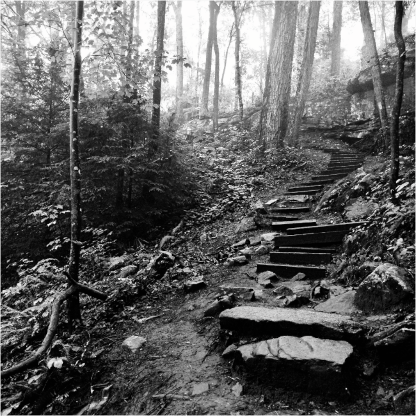 Main image Hillside Steps
