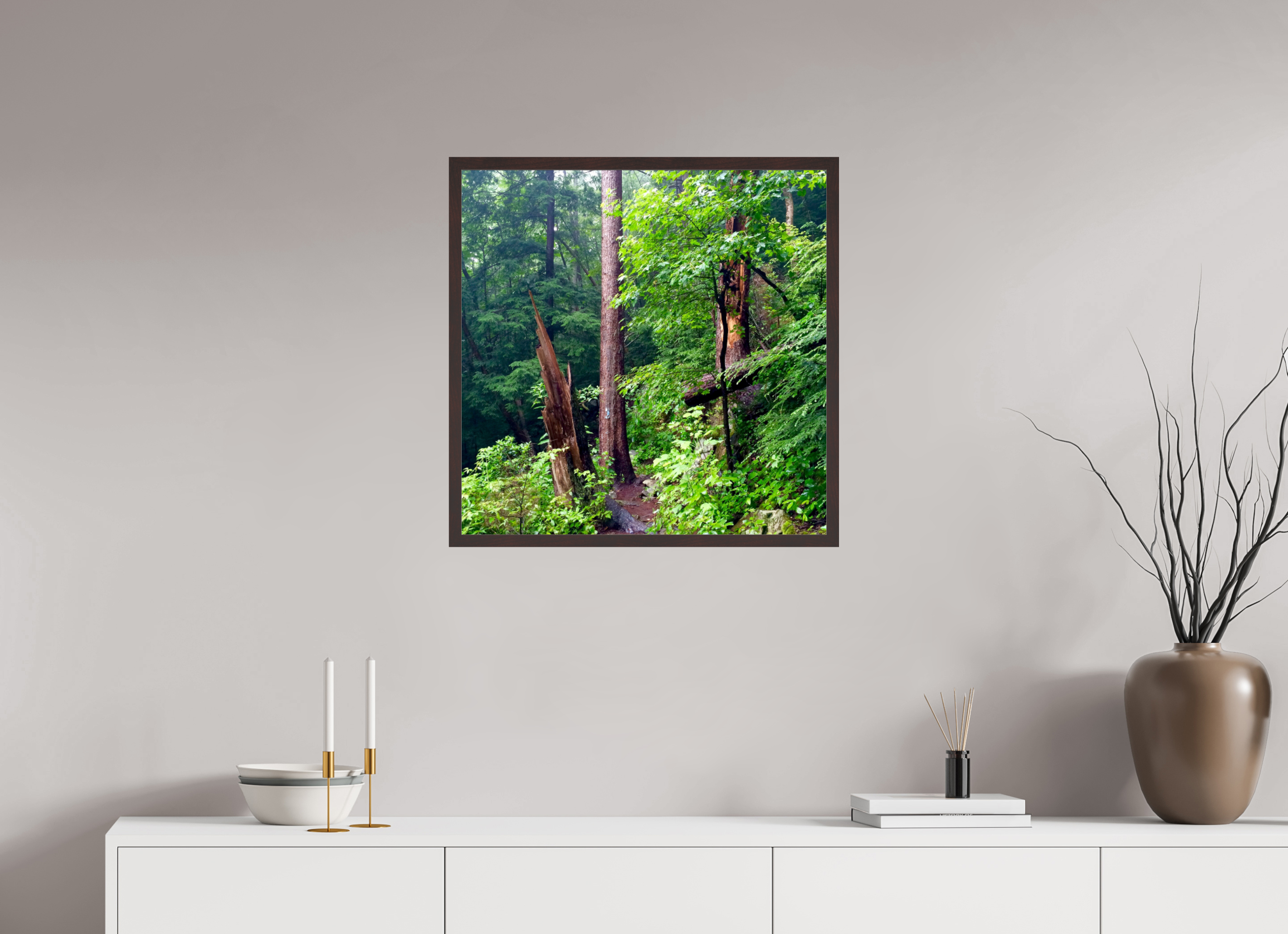 25 x 25″, ArtBox On Aluminum Dibond Tree Stumps