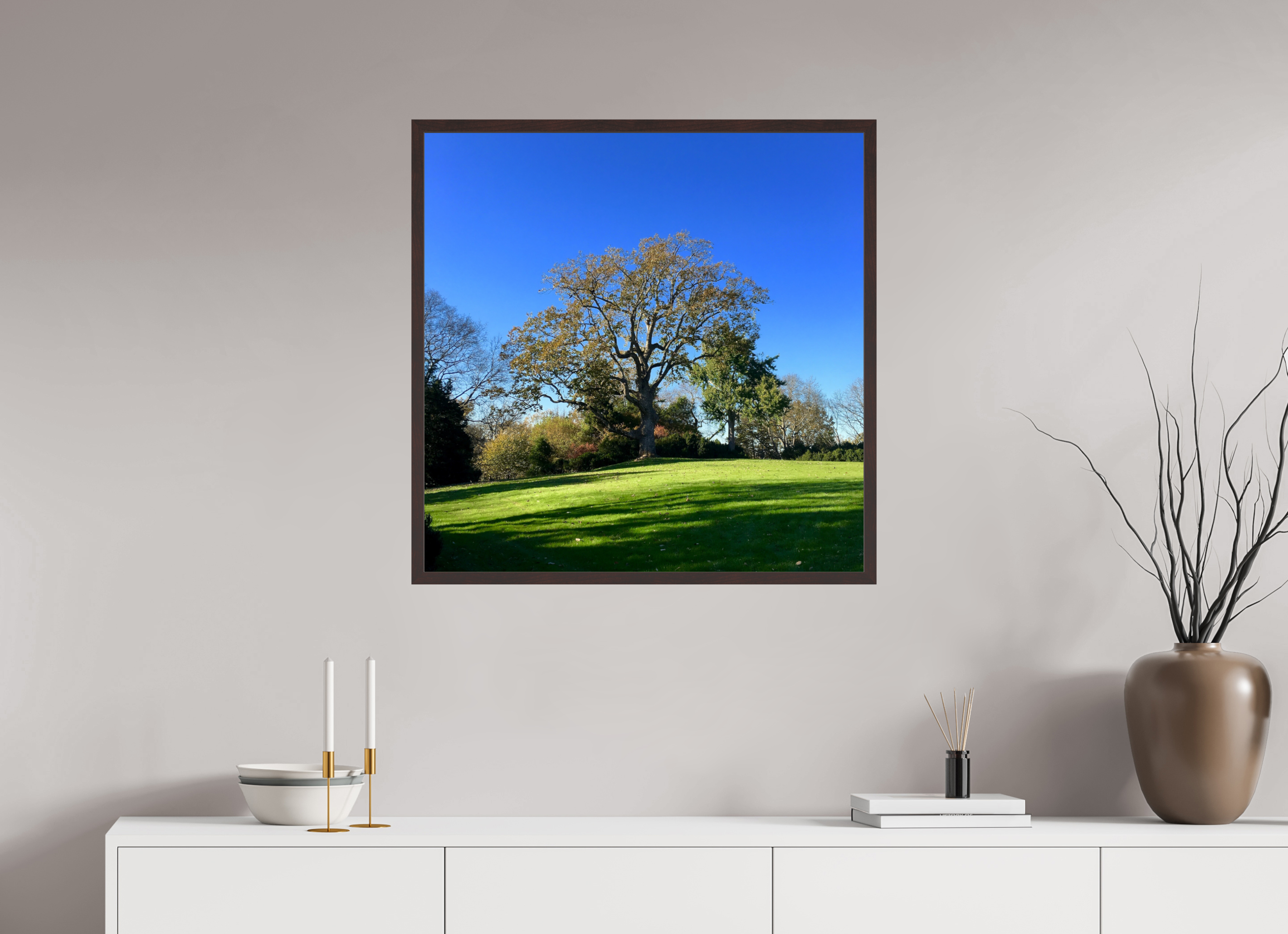 30 x 30″, ArtBox On Aluminum Dibond Tree at Cheekwood