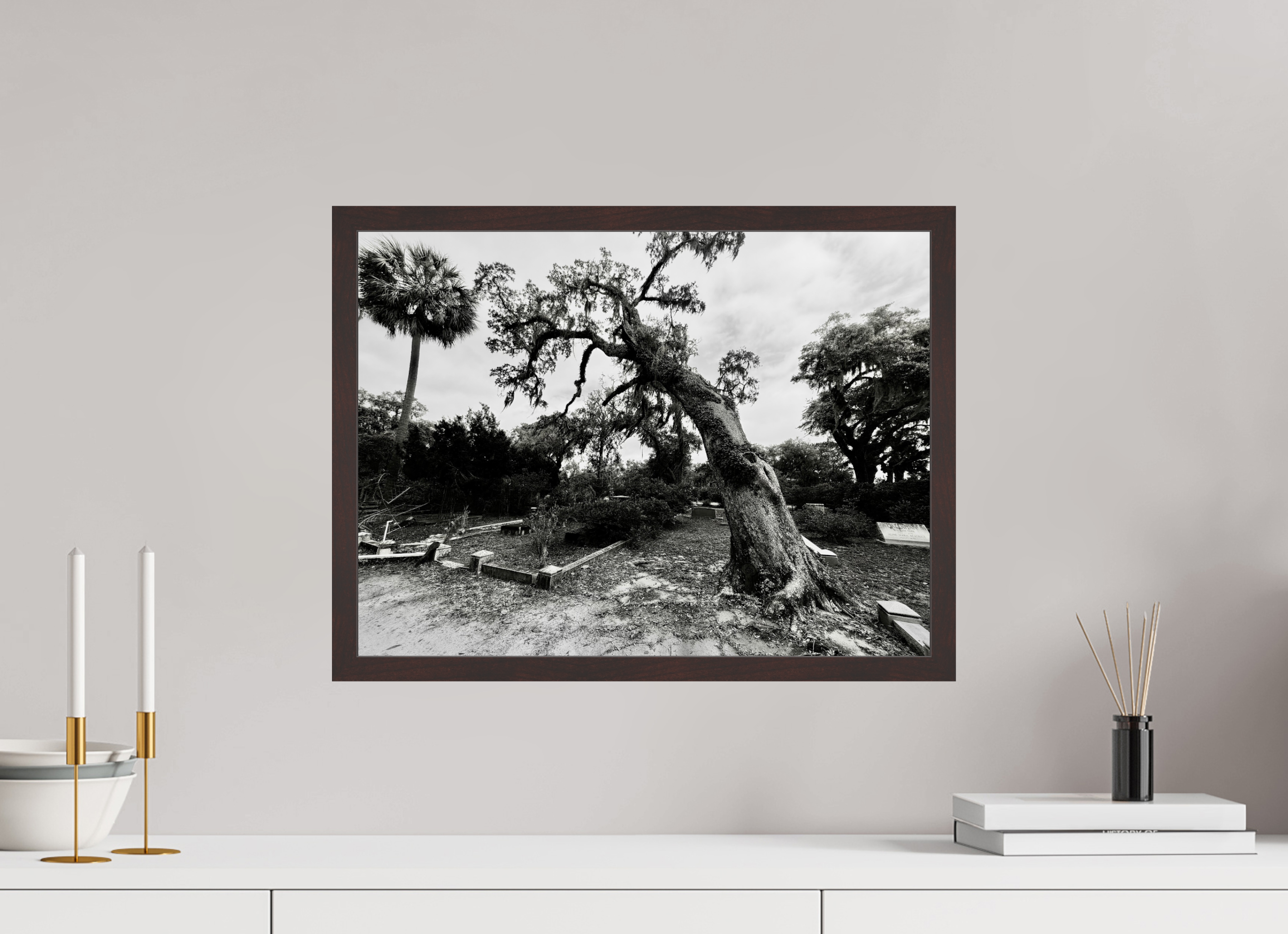 20 x 15″, ArtBox On Aluminum Dibond Tree at Bonaventure Cemetery